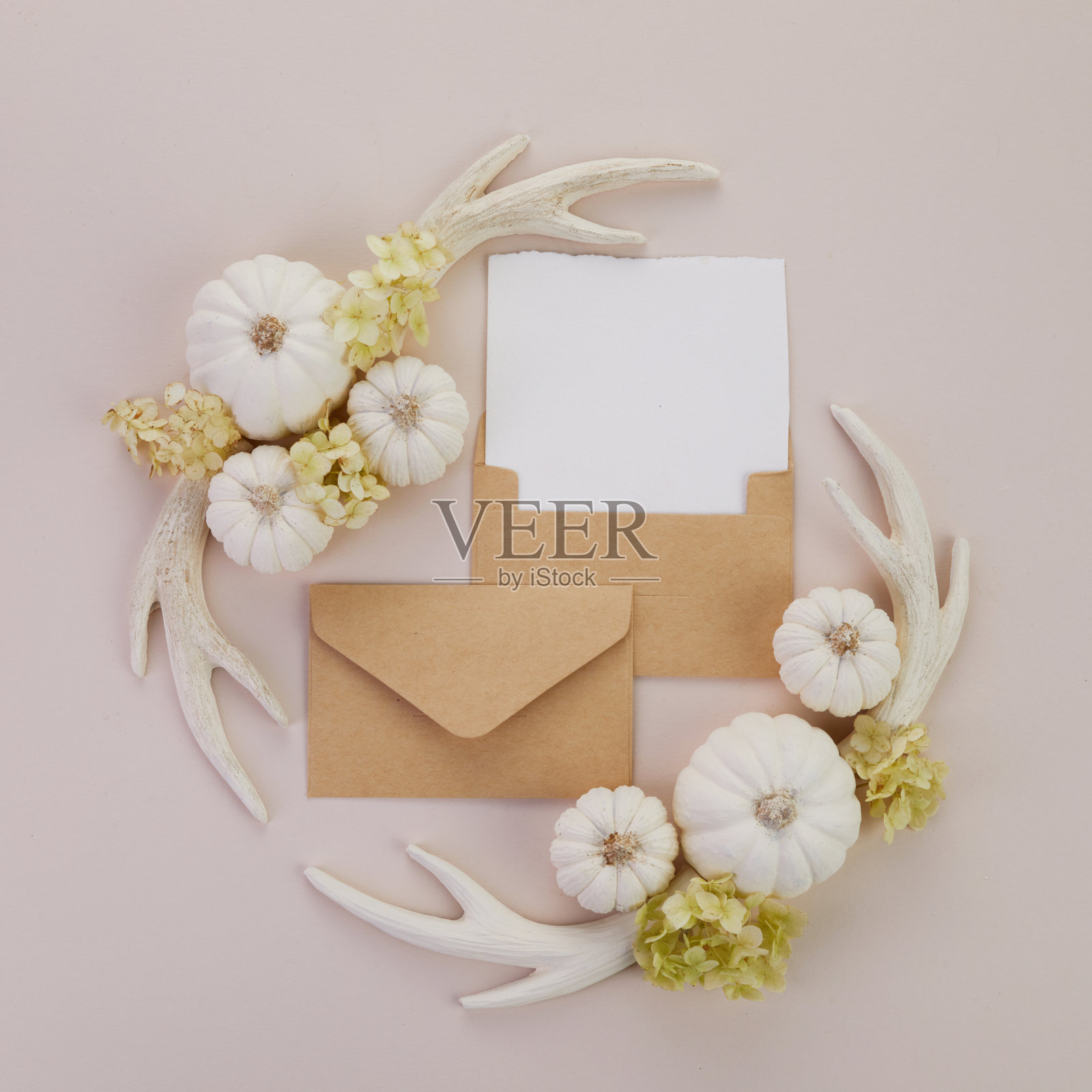 由白色南瓜，麋鹿角和绿色花朵制成的框架。俯视图，平放。照片摄影图片