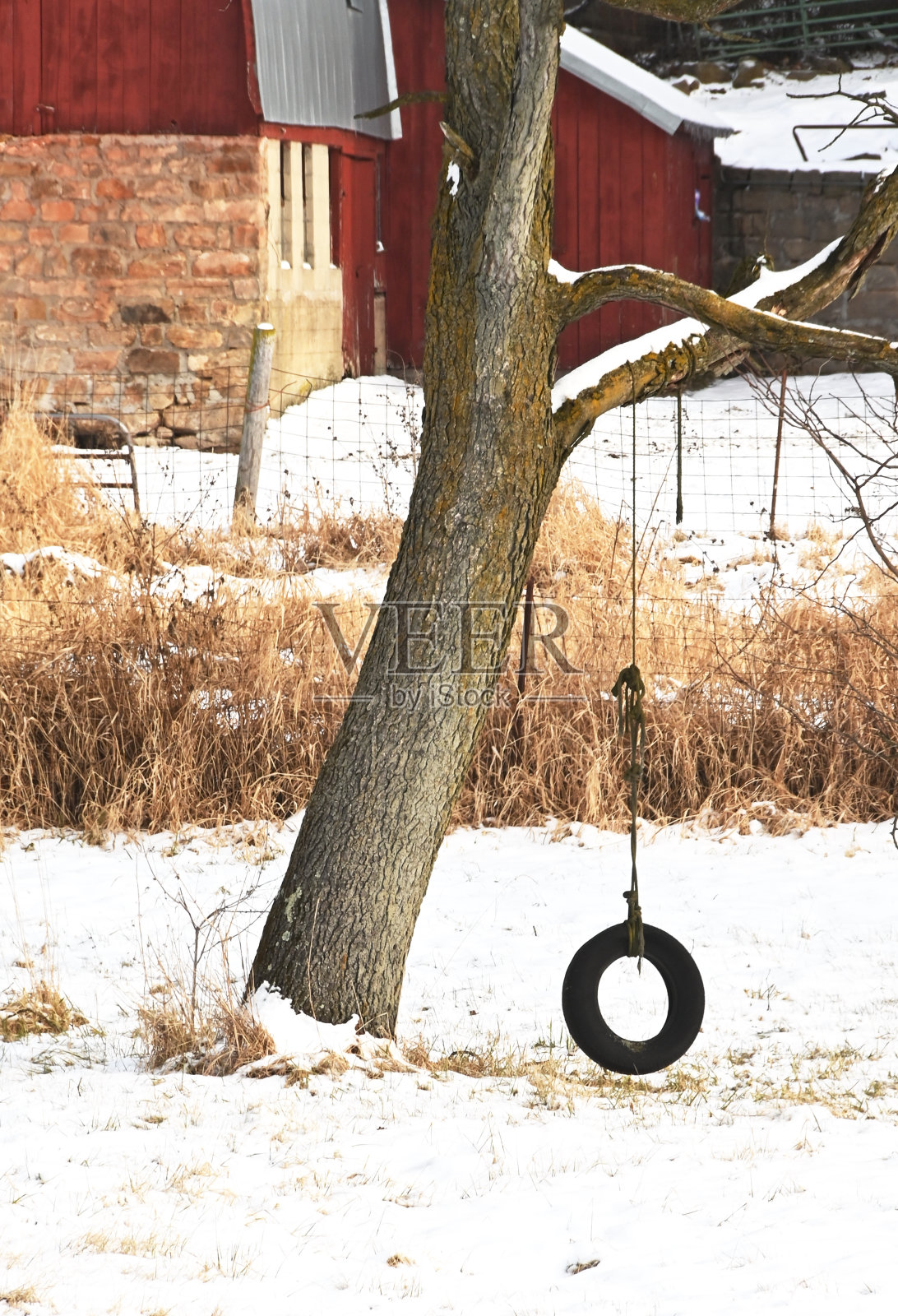 冬天的轮胎摆动照片摄影图片
