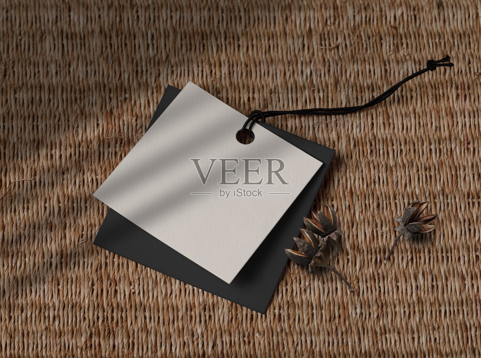 标签标签模型模板照片摄影图片