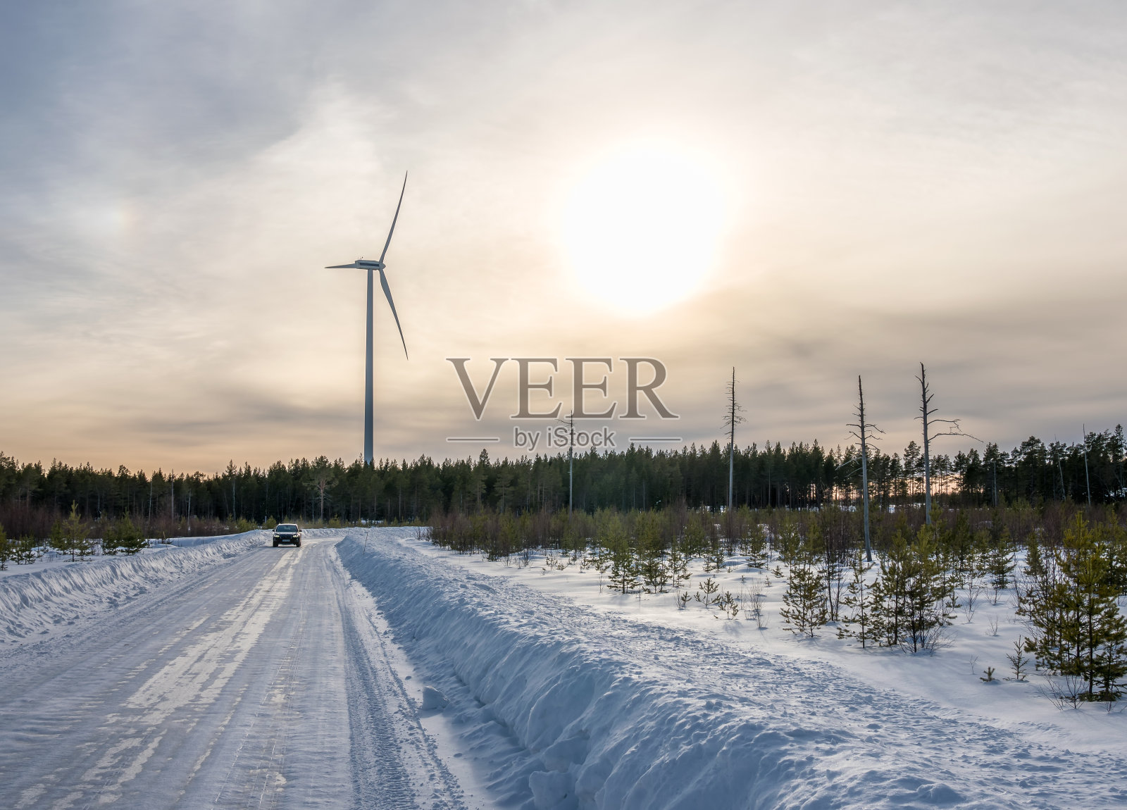 照片中的风车，汽车在笔直的道路和几棵枯死的松树在冬天的森林，蓝天，阳光照片摄影图片