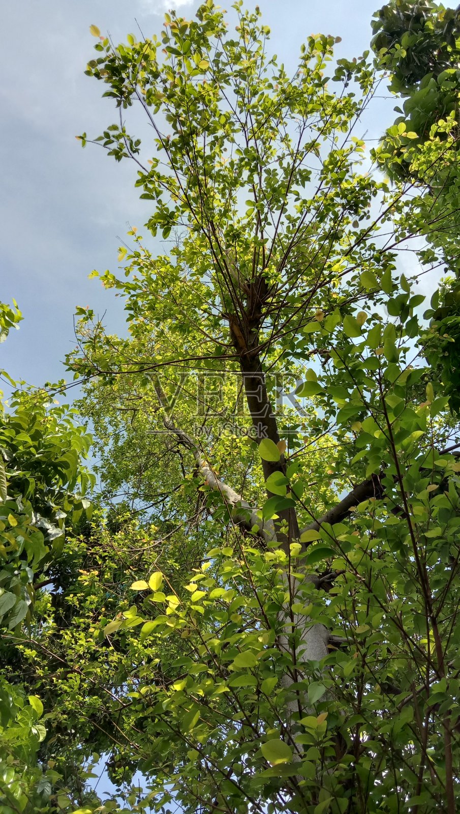 秋天照片摄影图片