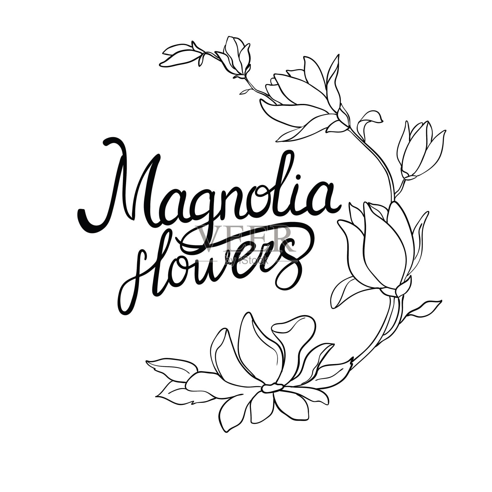 在白底上孤立的木兰枝上织布花。水彩木兰集。插画图片素材