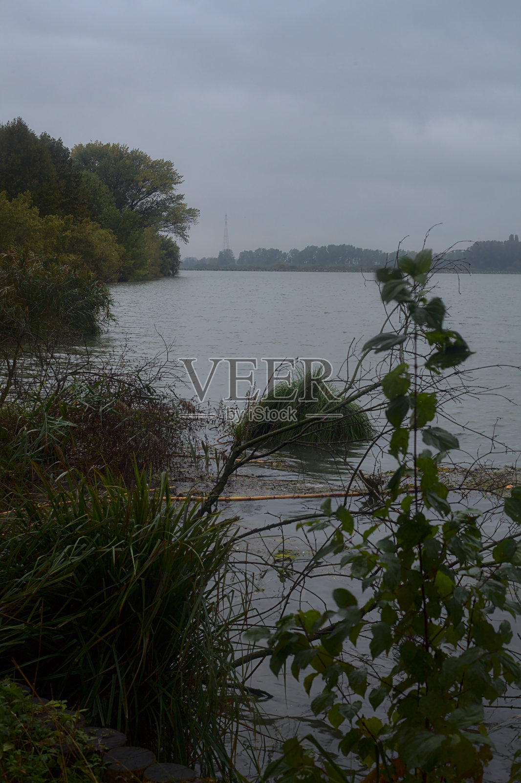 秋雨时的一条河，河岸边有森林照片摄影图片