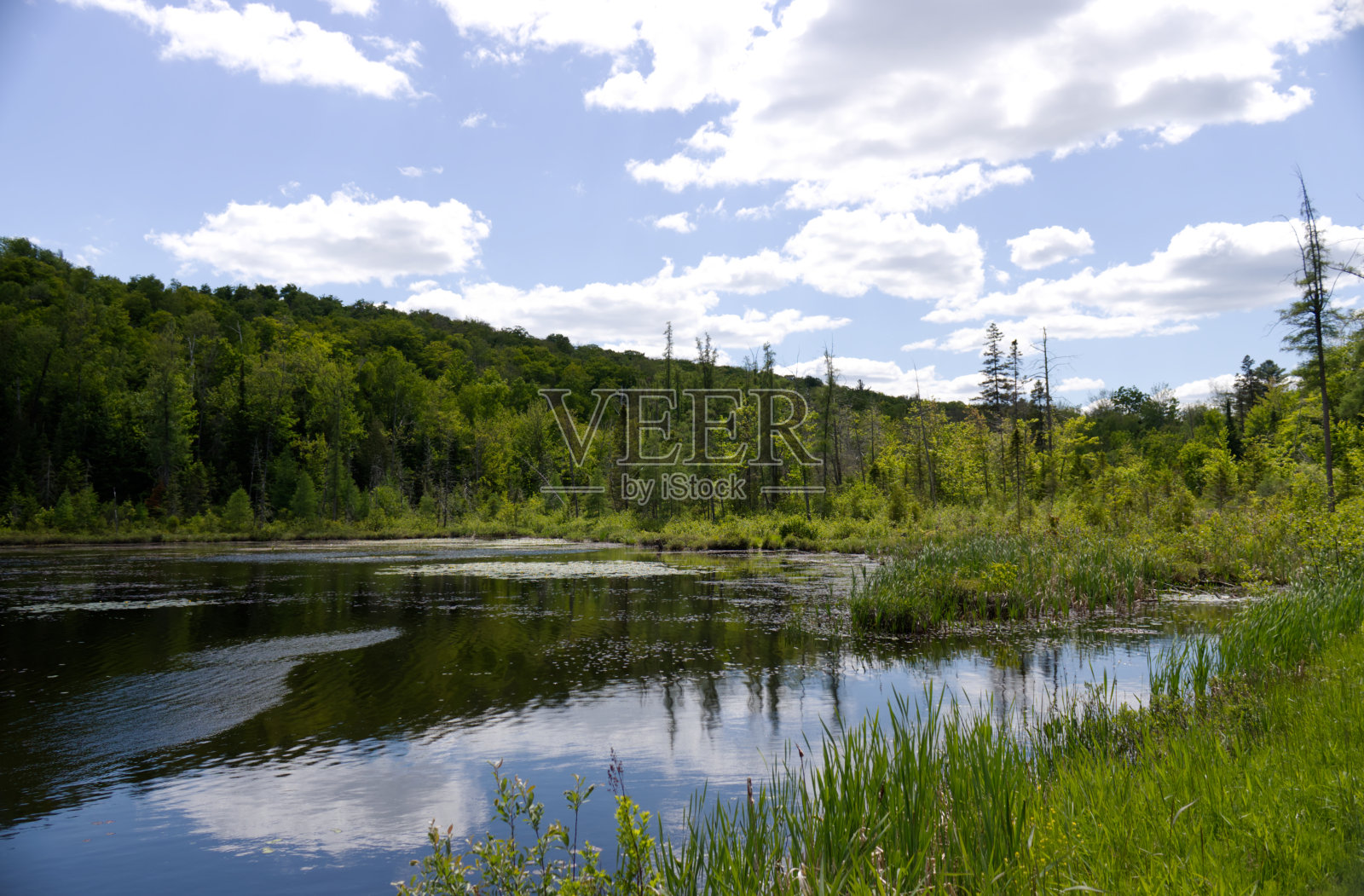 在阴天，宁静的风景展现了一个湖，山脉和树木照片摄影图片