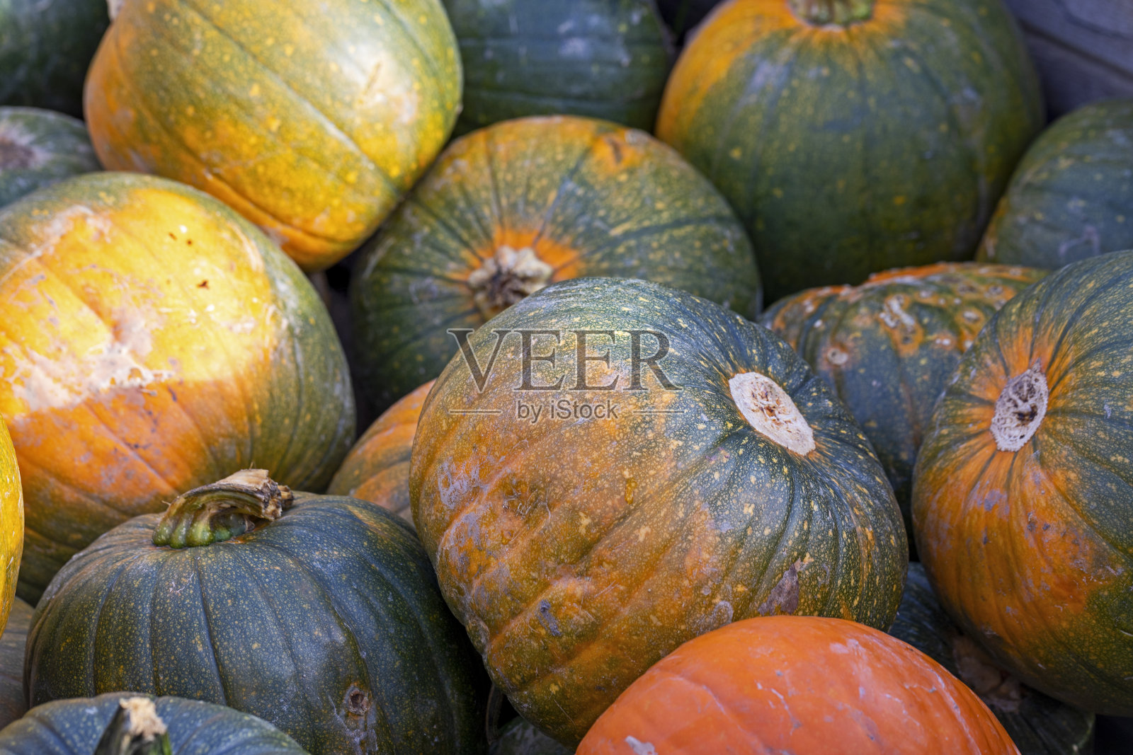 南瓜特写镜头照片摄影图片