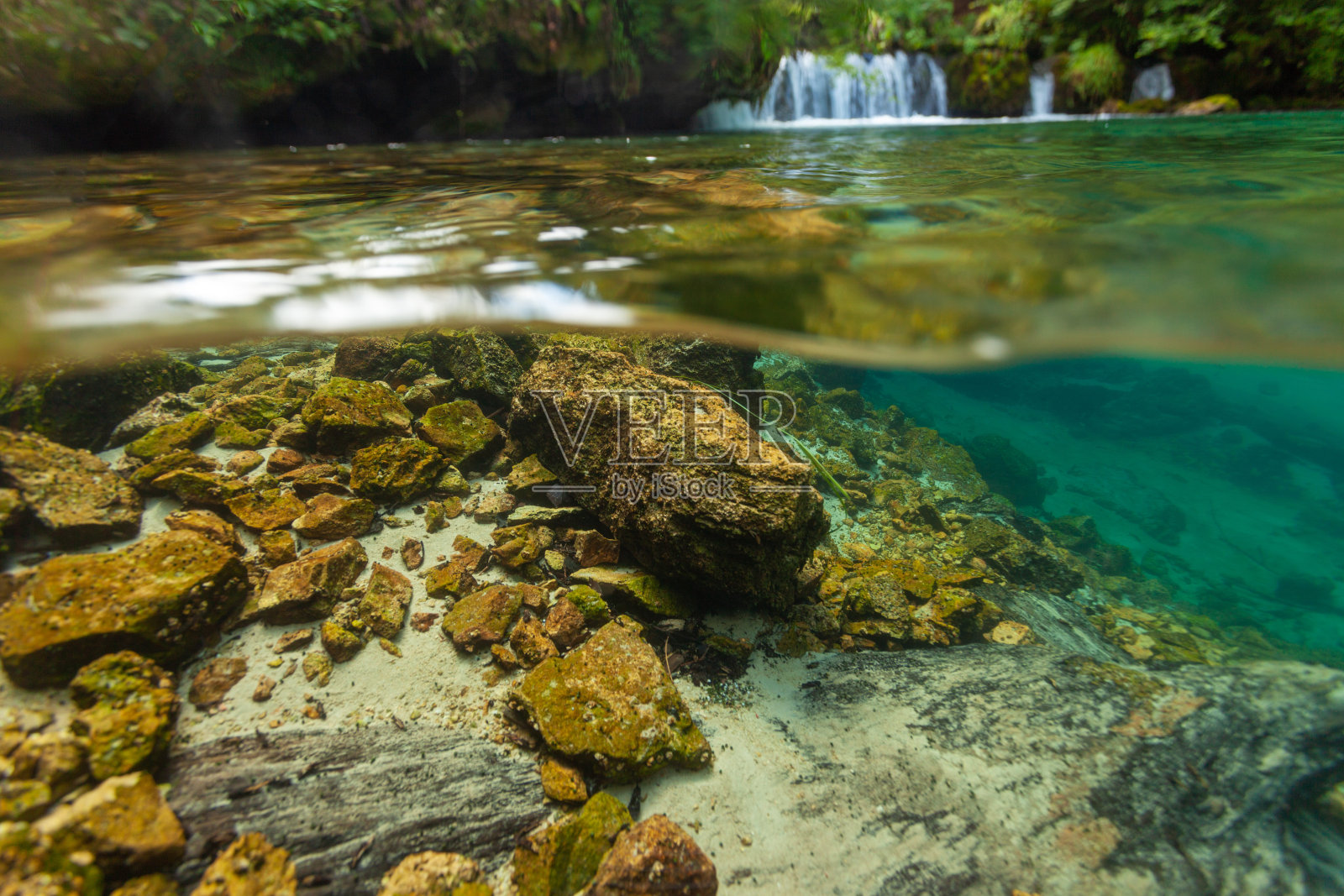 普利特维茨湖国家公园的水下世界照片摄影图片