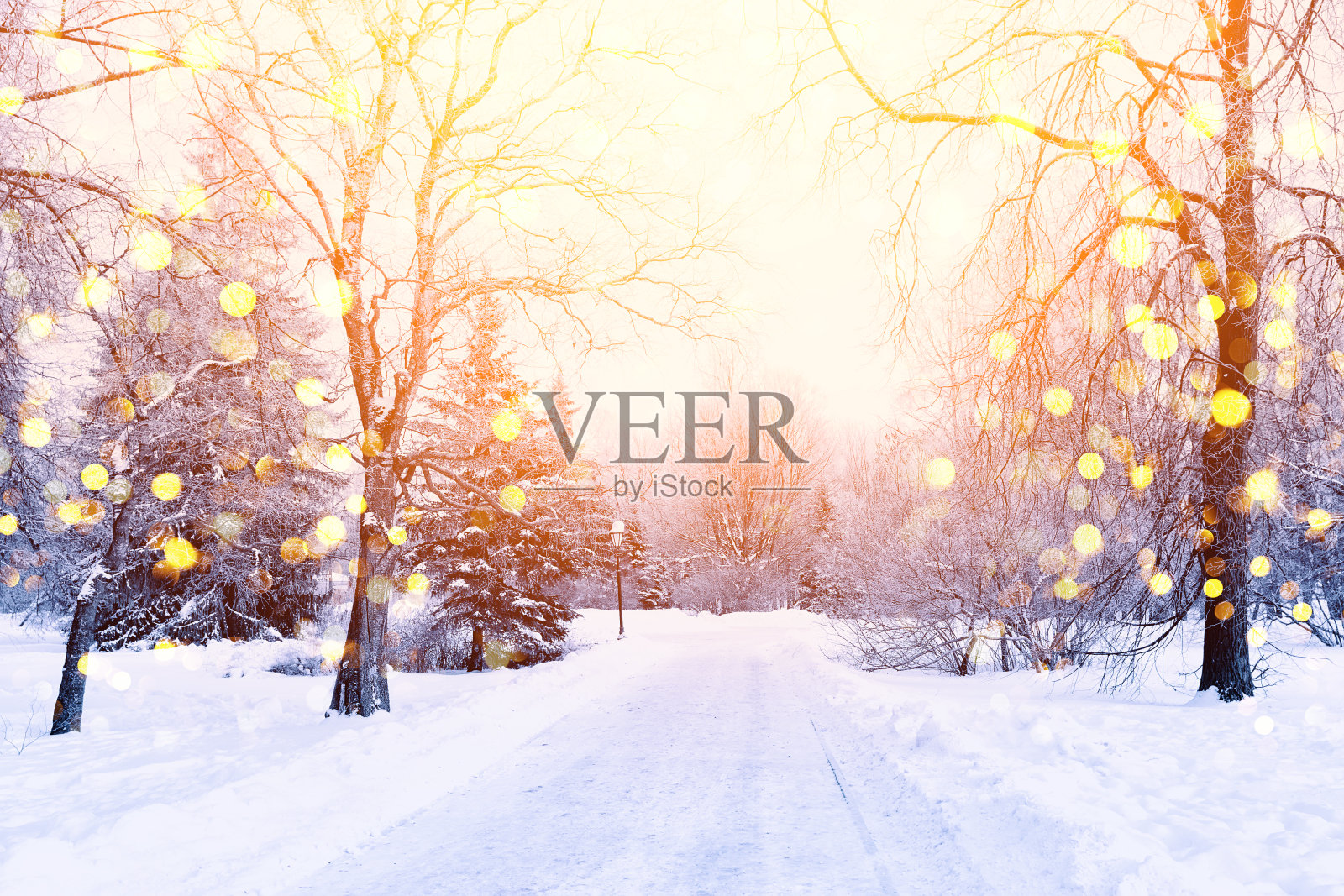 圣诞冬季模糊的背景与花环灯，节日喜庆的背景。照片摄影图片