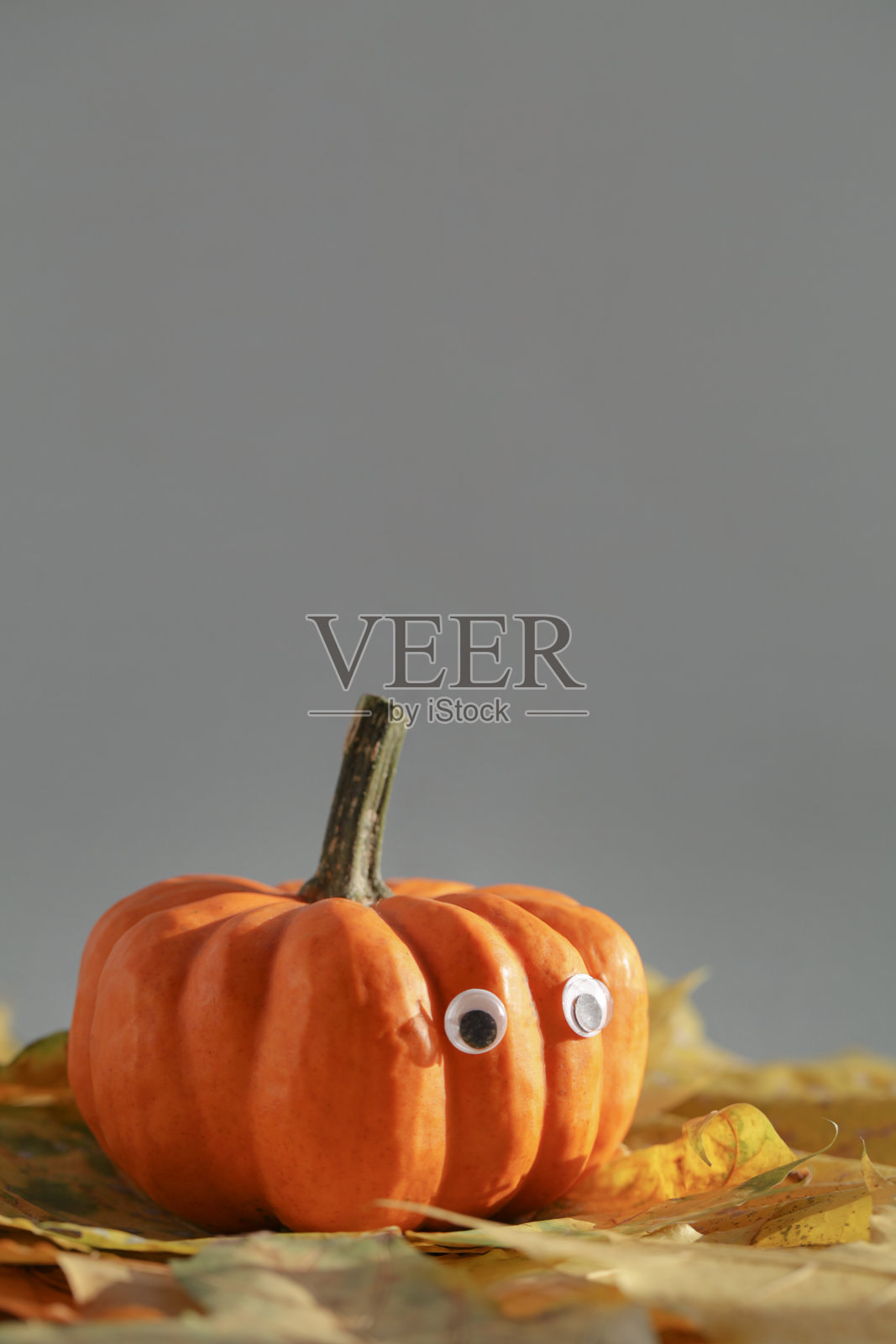 万圣节南瓜在黄色的叶子上灰色的背景。最小的节日庆祝有趣的概念。明亮的秋季背景。本空间照片摄影图片