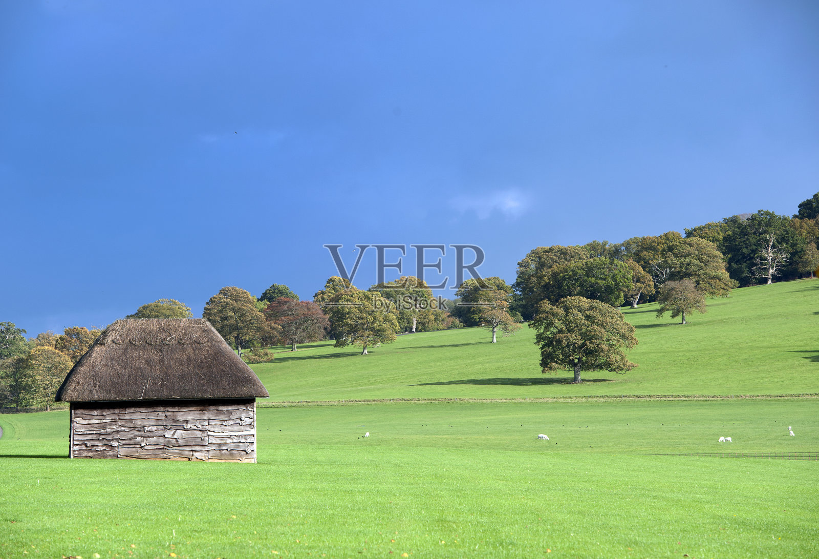 暴风雨的公园，英格兰的秋天照片摄影图片