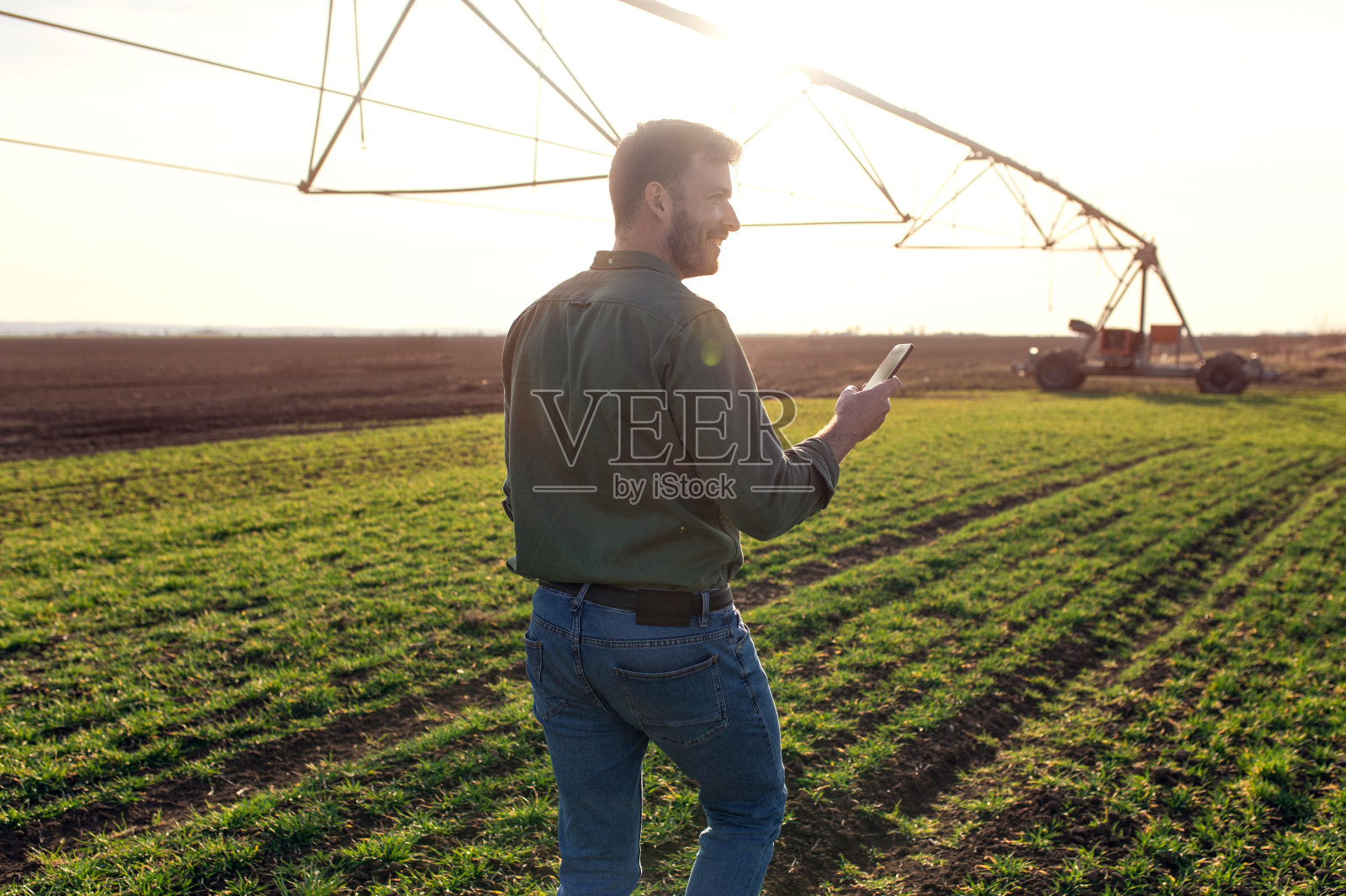 农民在麦田里散步，检查作物。照片摄影图片