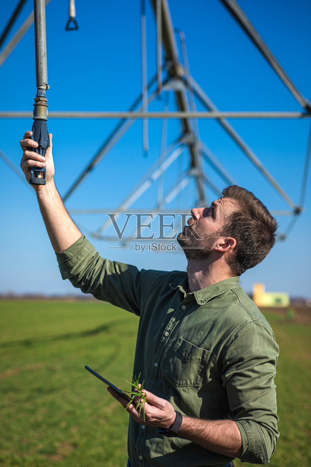 年轻的农民站在麦田里，在平板上设置灌溉系统。照片摄影图片