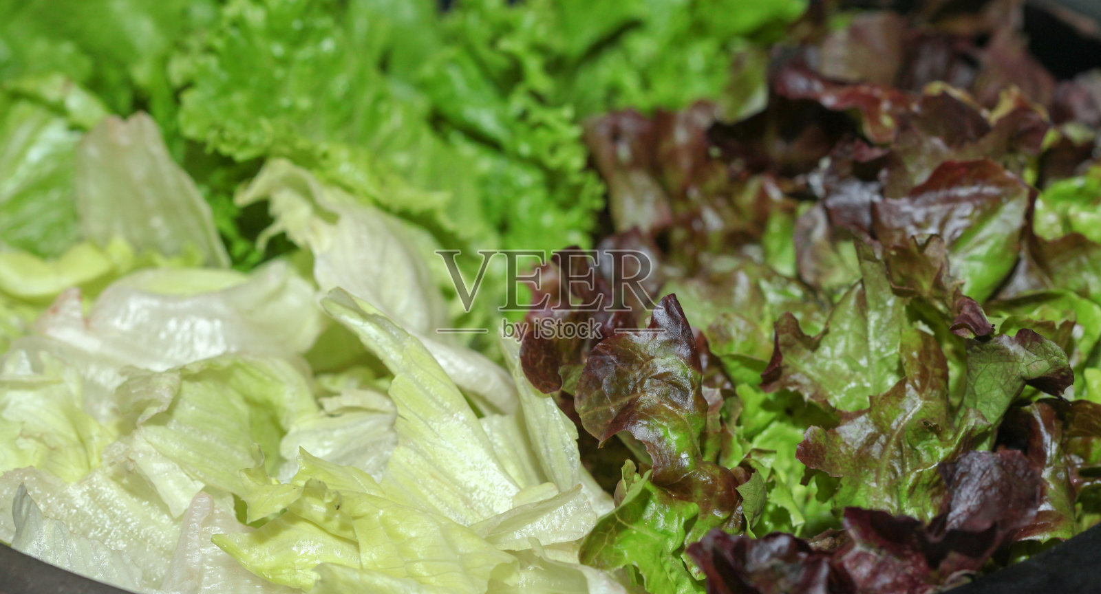 陈列的鲜亮的生菜照片摄影图片