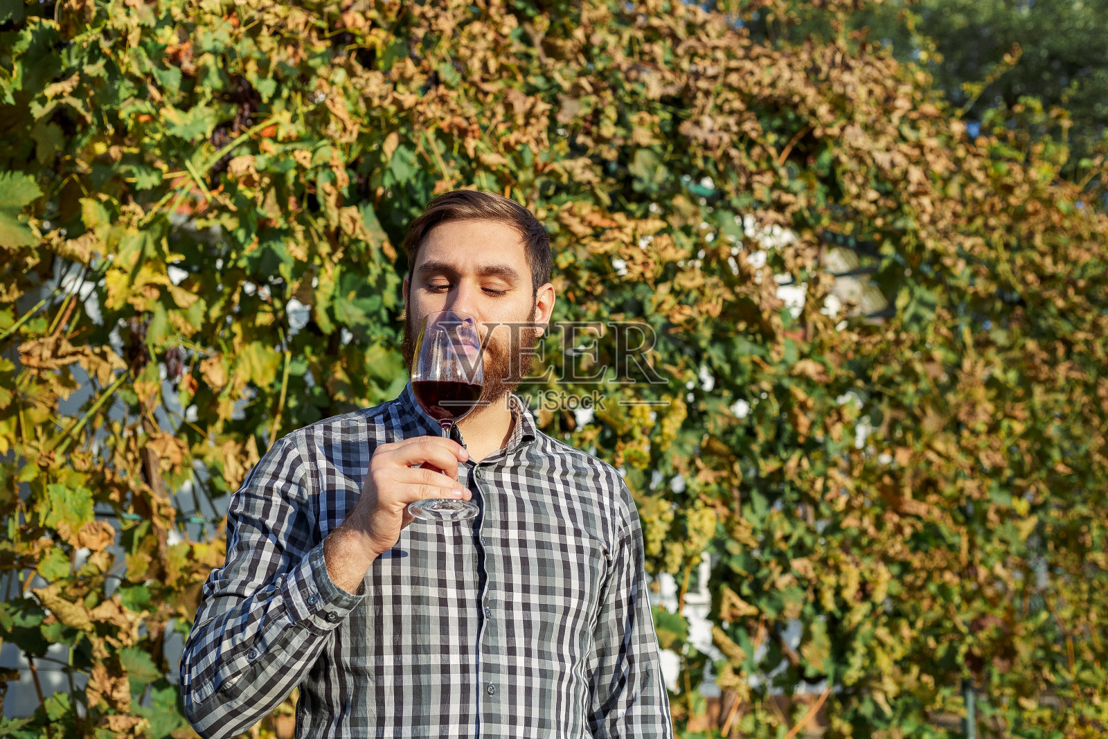 肖像英俊的酿酒师在他的手中拿着一杯红酒，品尝它，检查葡萄酒质量，而站在葡萄园。小型企业，自制葡萄酒的概念。照片摄影图片