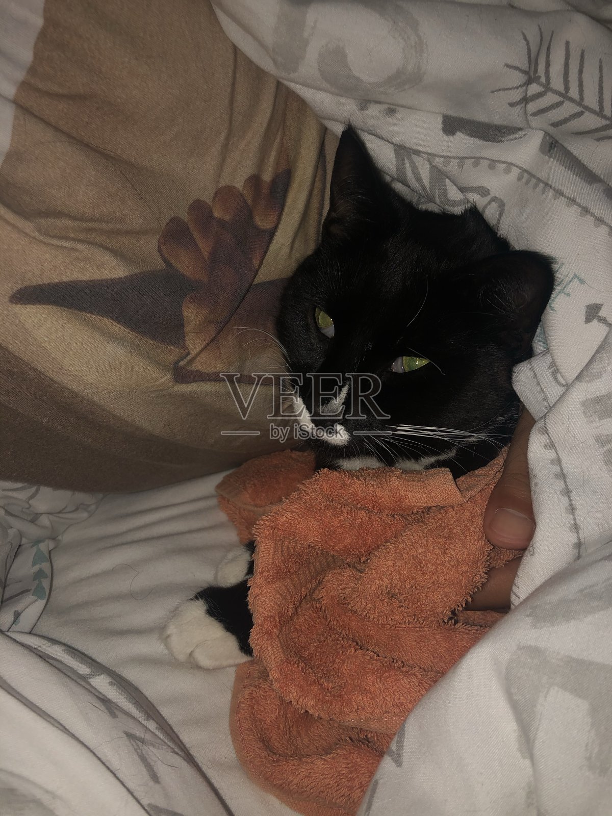 我也洗了个冷水澡照片摄影图片