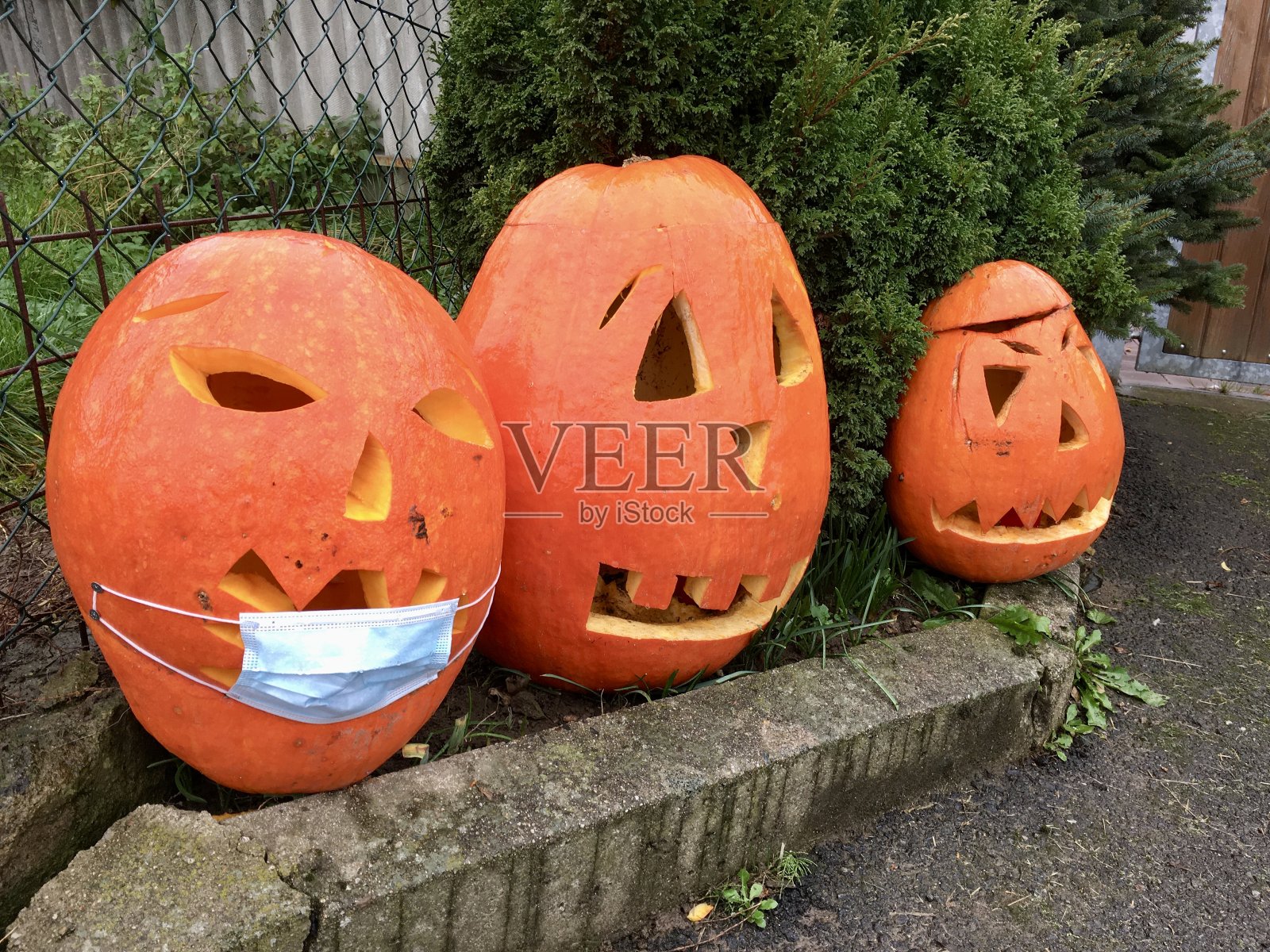 三个精心挖空的万圣节南瓜作为装饰在房子前面，万圣节南瓜与口罩的冠状病毒照片摄影图片