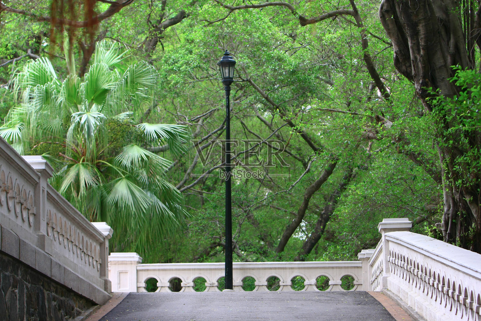 2008年11月8日，香港乔治五世纪念公园照片摄影图片