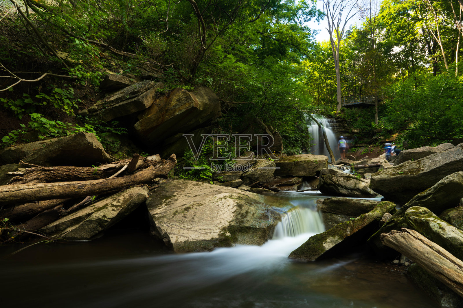 森林中的碎石坡上长满了苔藓的巨石，其间流淌着小河和小瀑布照片摄影图片