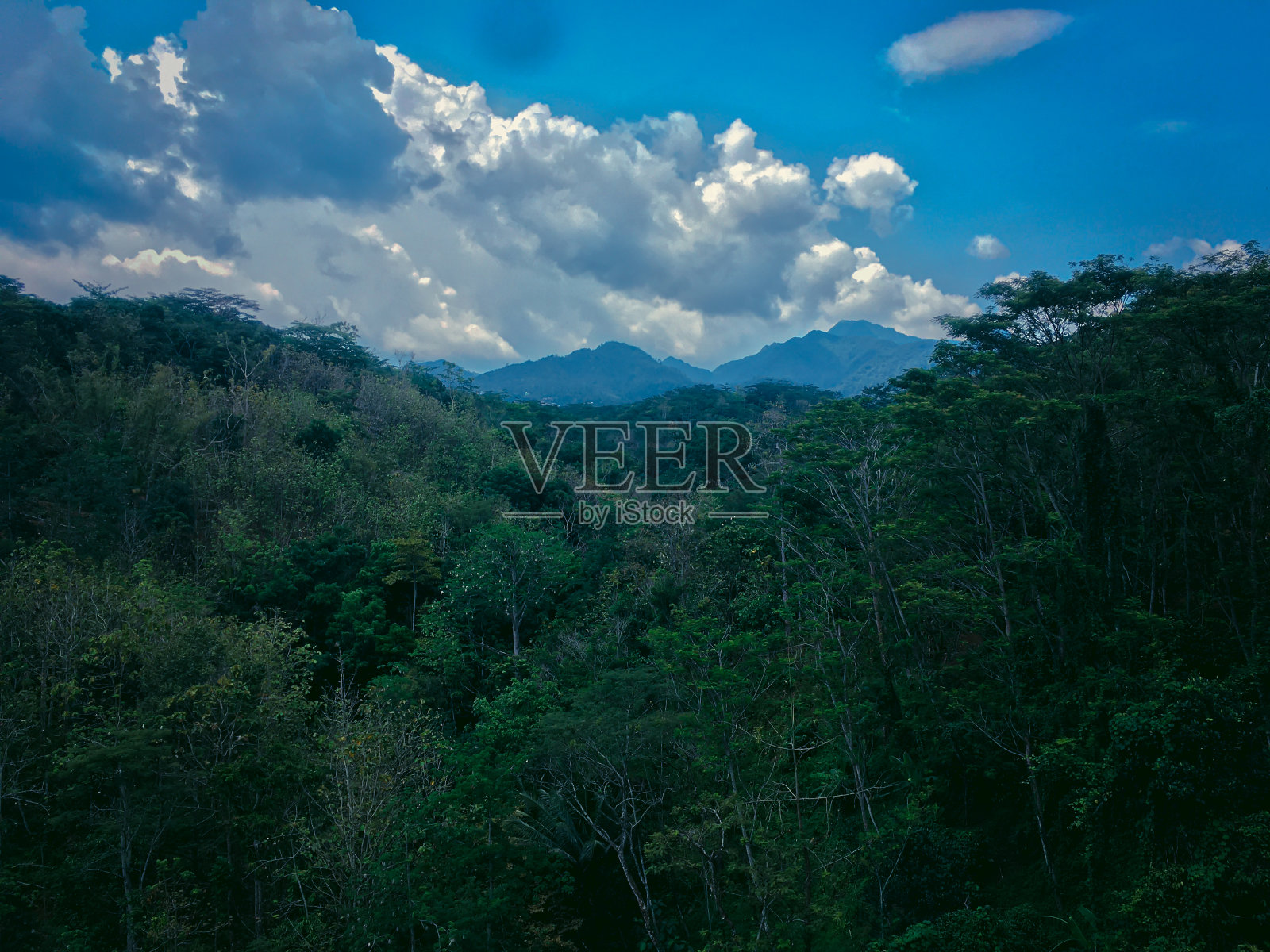 Vaganza视图照片摄影图片