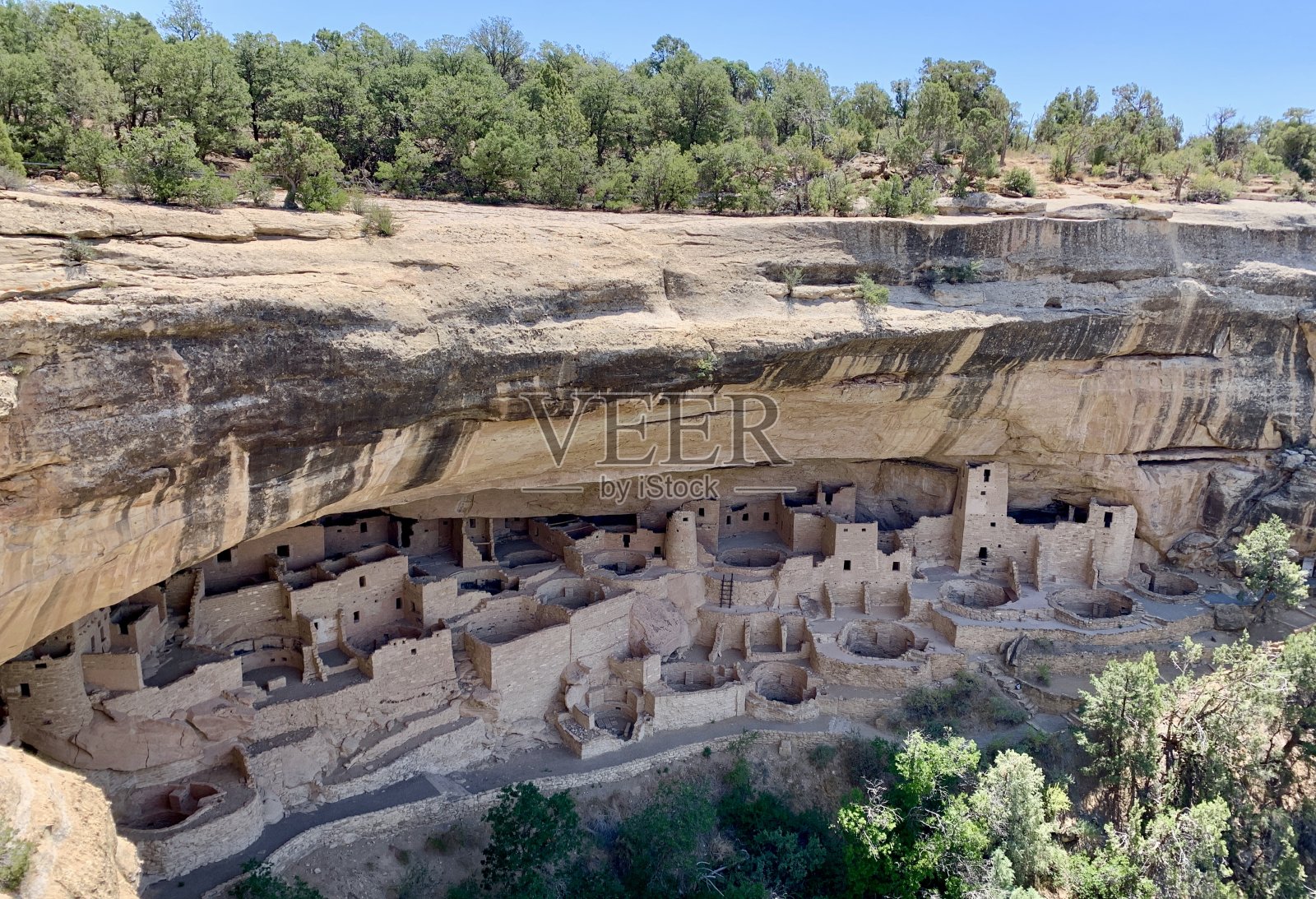 美国科罗拉多州梅萨维德国家公园的悬崖宫殿照片摄影图片