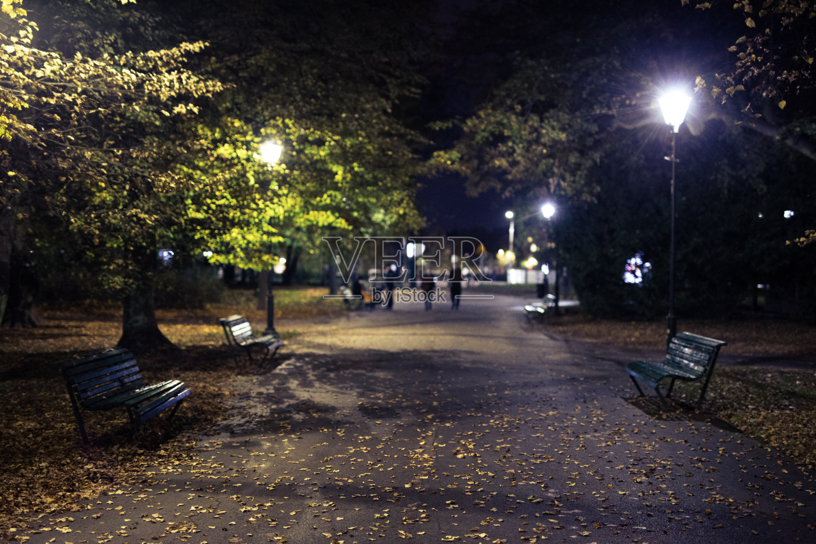 公园，长凳，夜晚，灯光照片摄影图片