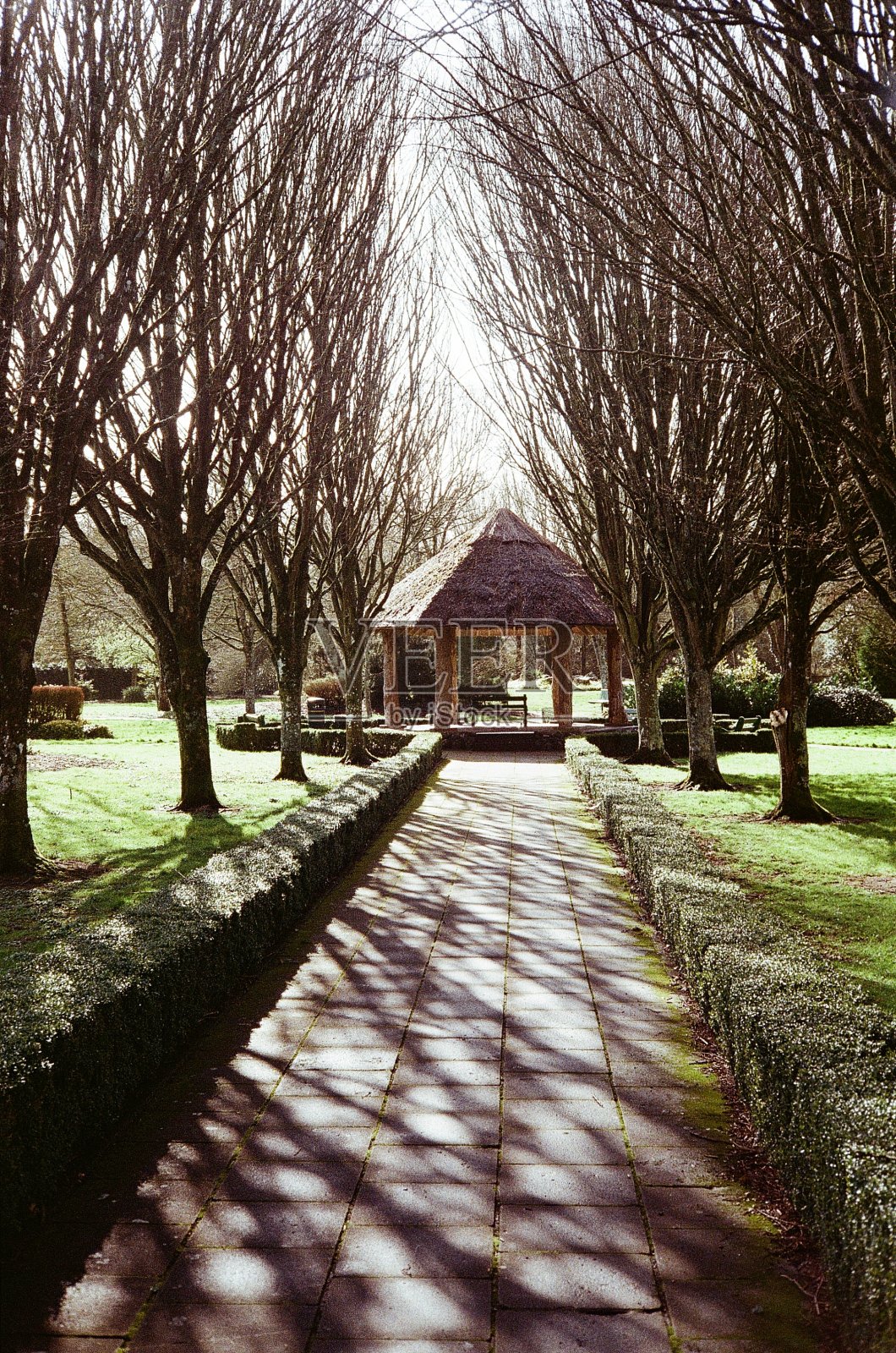 下午公园照片摄影图片