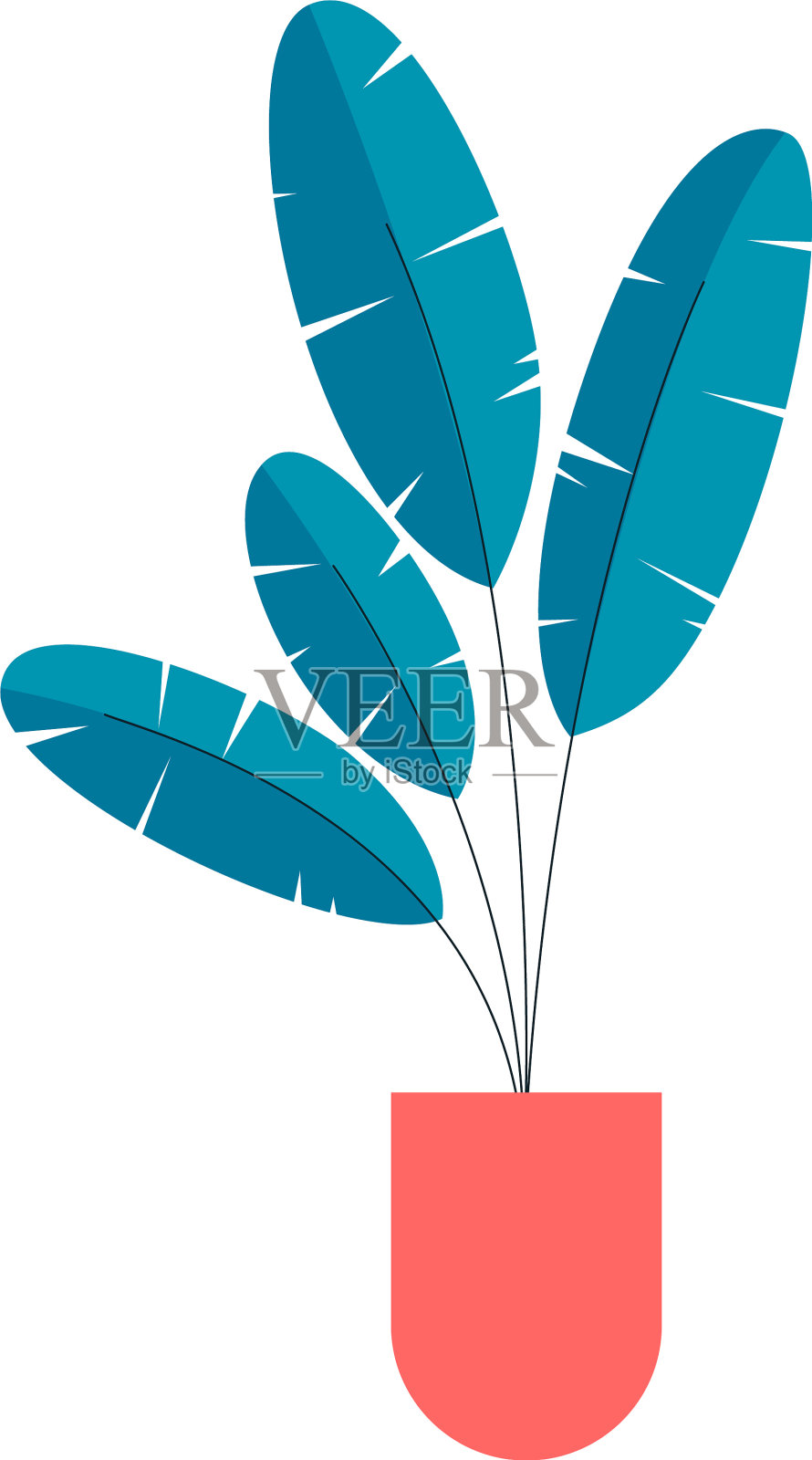 盆栽中的孤立植物插画图片素材