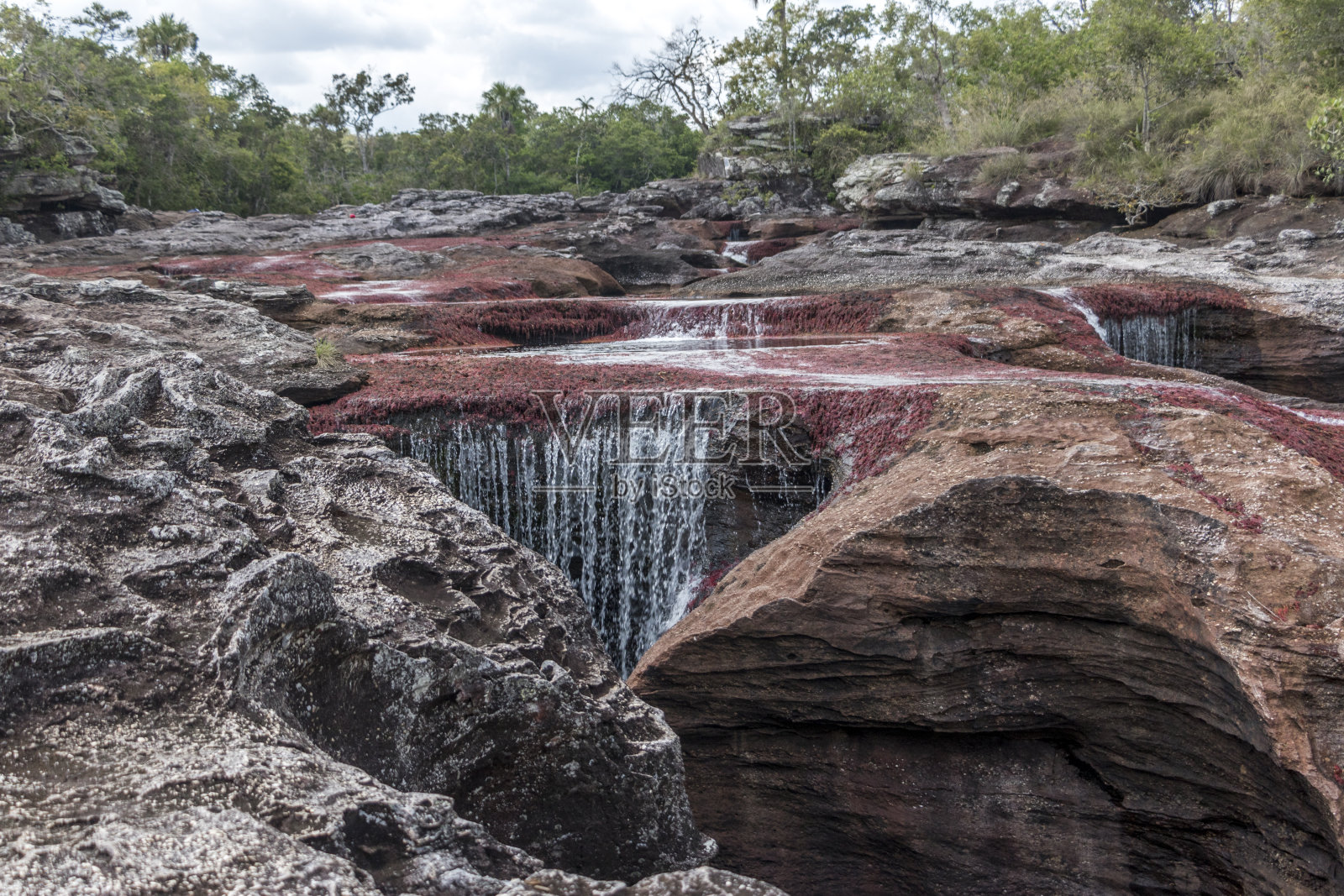 卡诺水晶上的海藻瀑布照片摄影图片