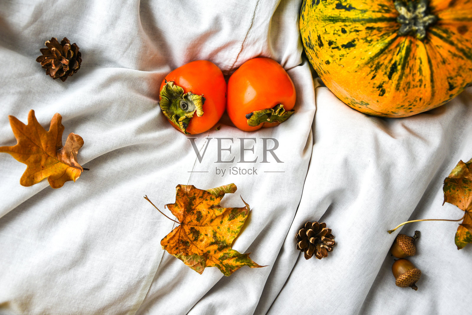 白衣服背景上的南瓜。秋天的收获。副本的空间。柿子和树叶照片摄影图片