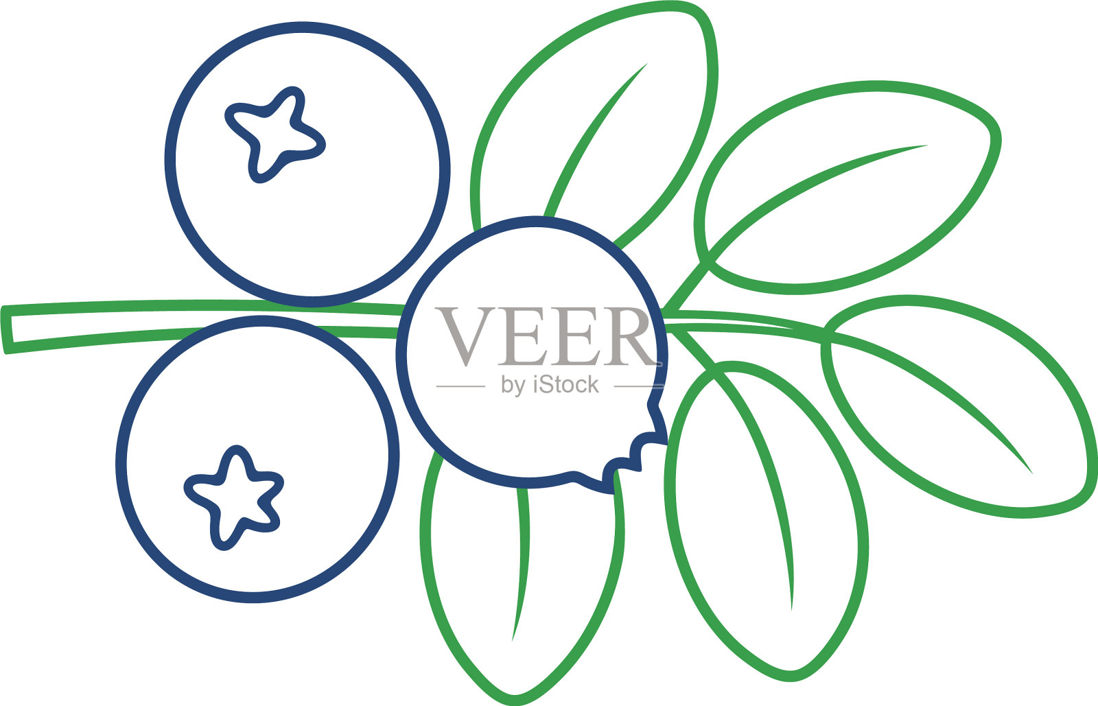 蓝莓设计元素图片