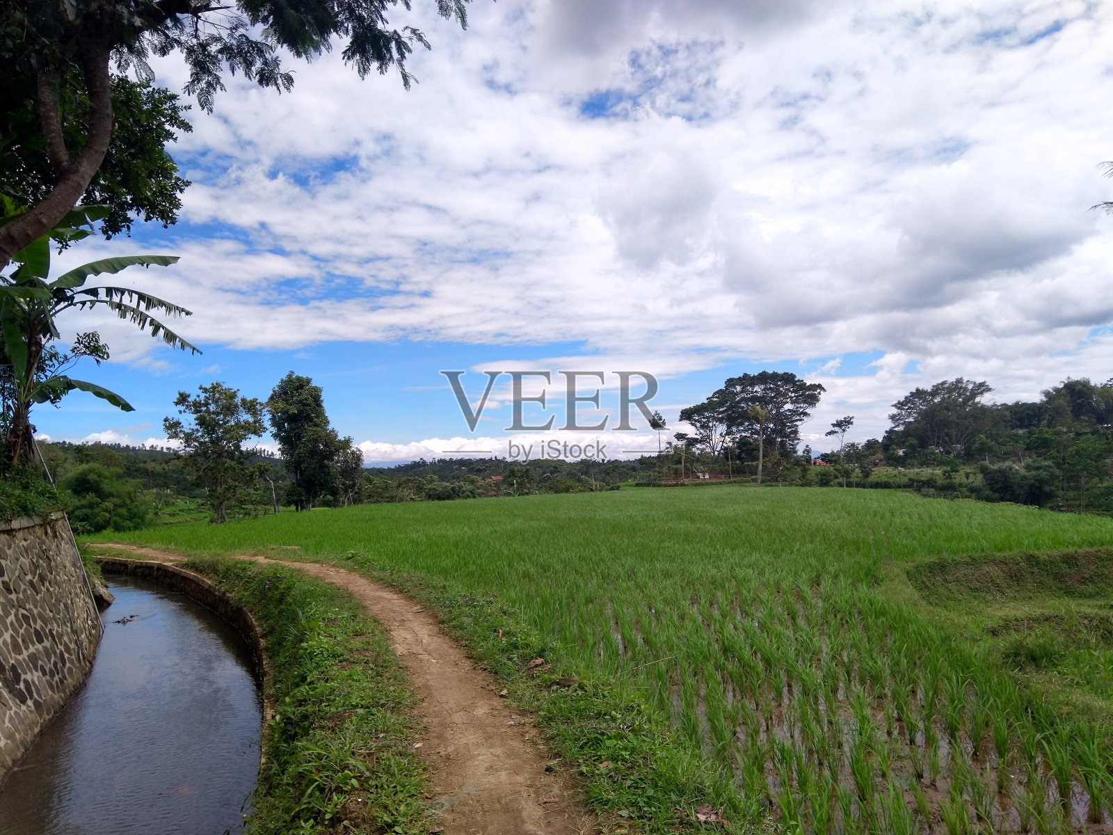 美丽的景色在我的村庄照片摄影图片