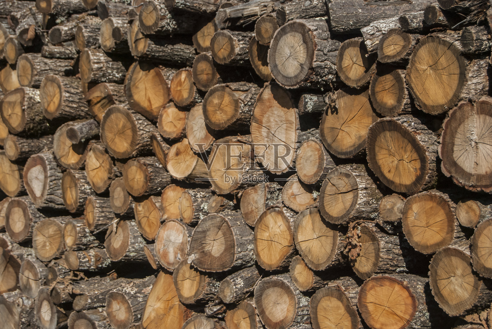 老干柴火照片摄影图片