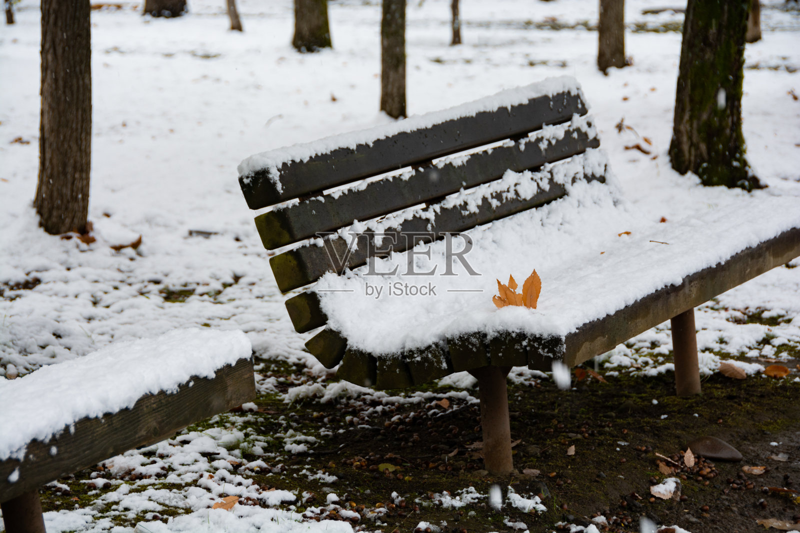 木凳上有初冬的雪和枯叶照片摄影图片