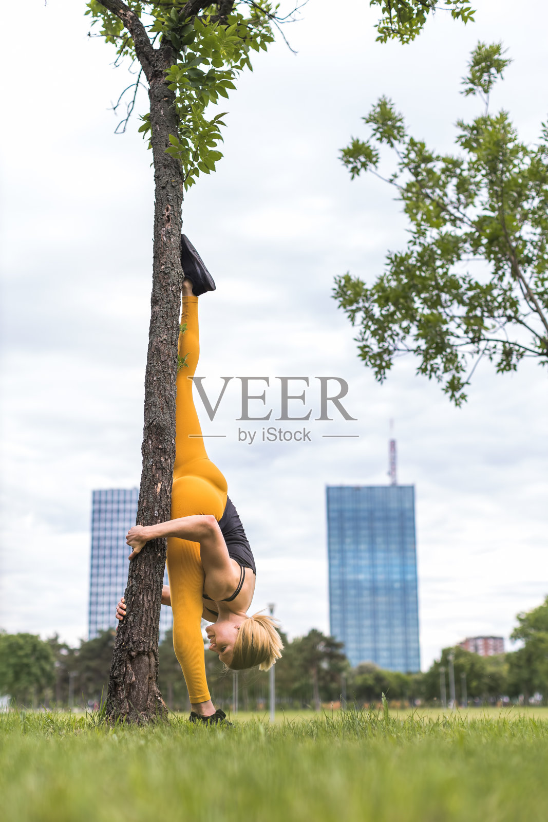 倒立着靠在树上照片摄影图片