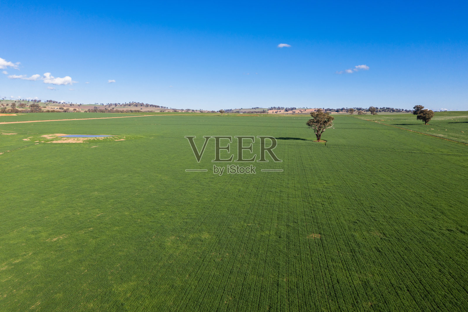 空中乡村场景-澳大利亚新南威尔士州考拉照片摄影图片