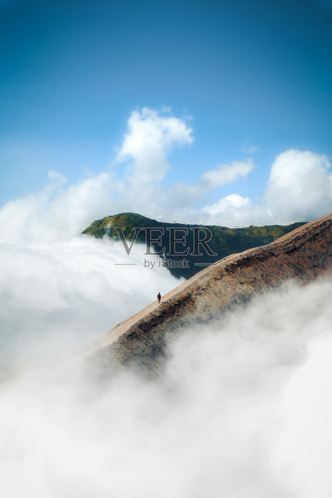 式化溴照片摄影图片