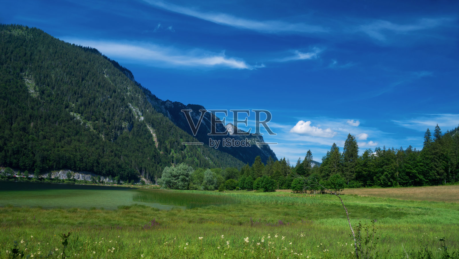 比风的大照片摄影图片