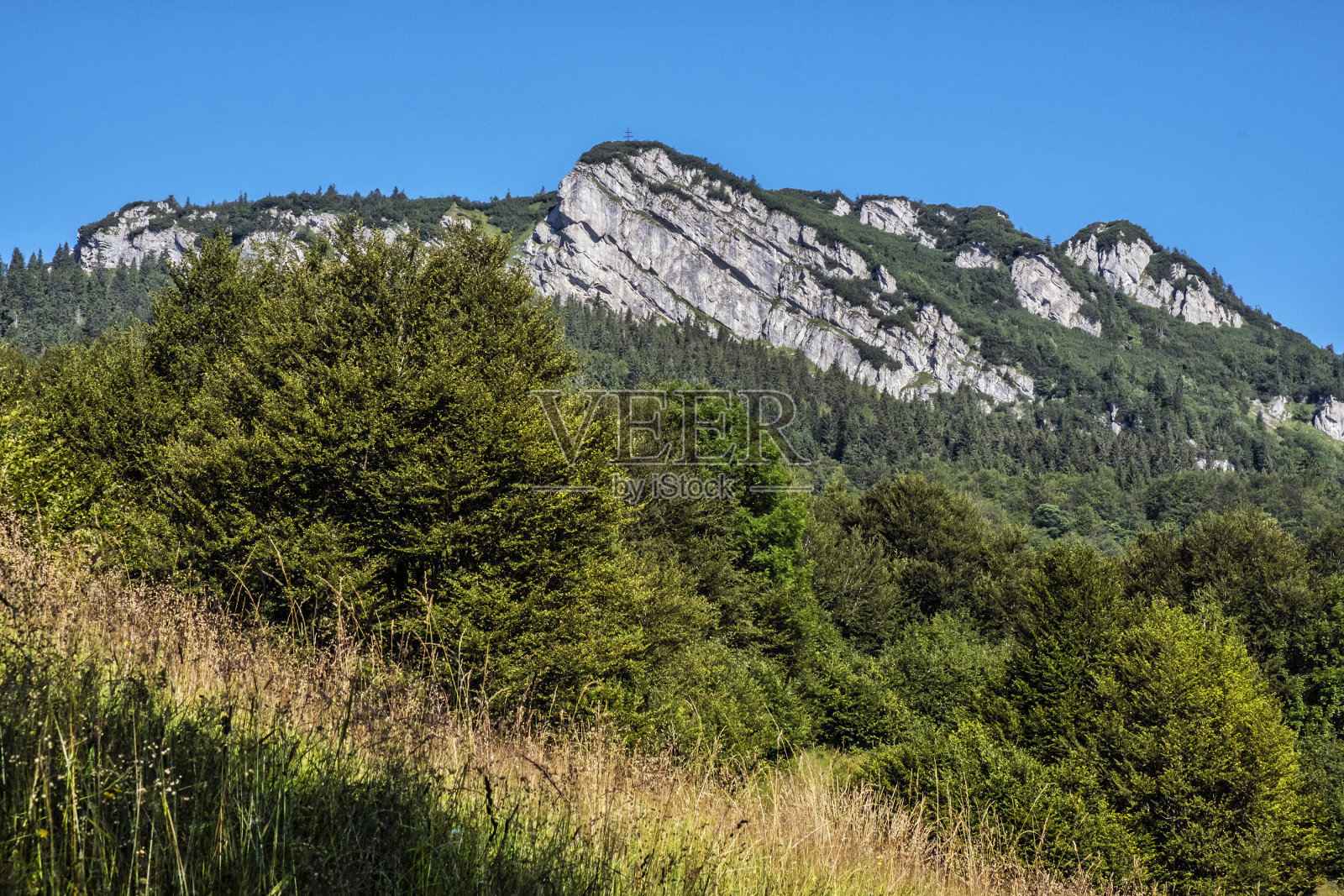 斯洛伐克大法特拉的黑石照片摄影图片