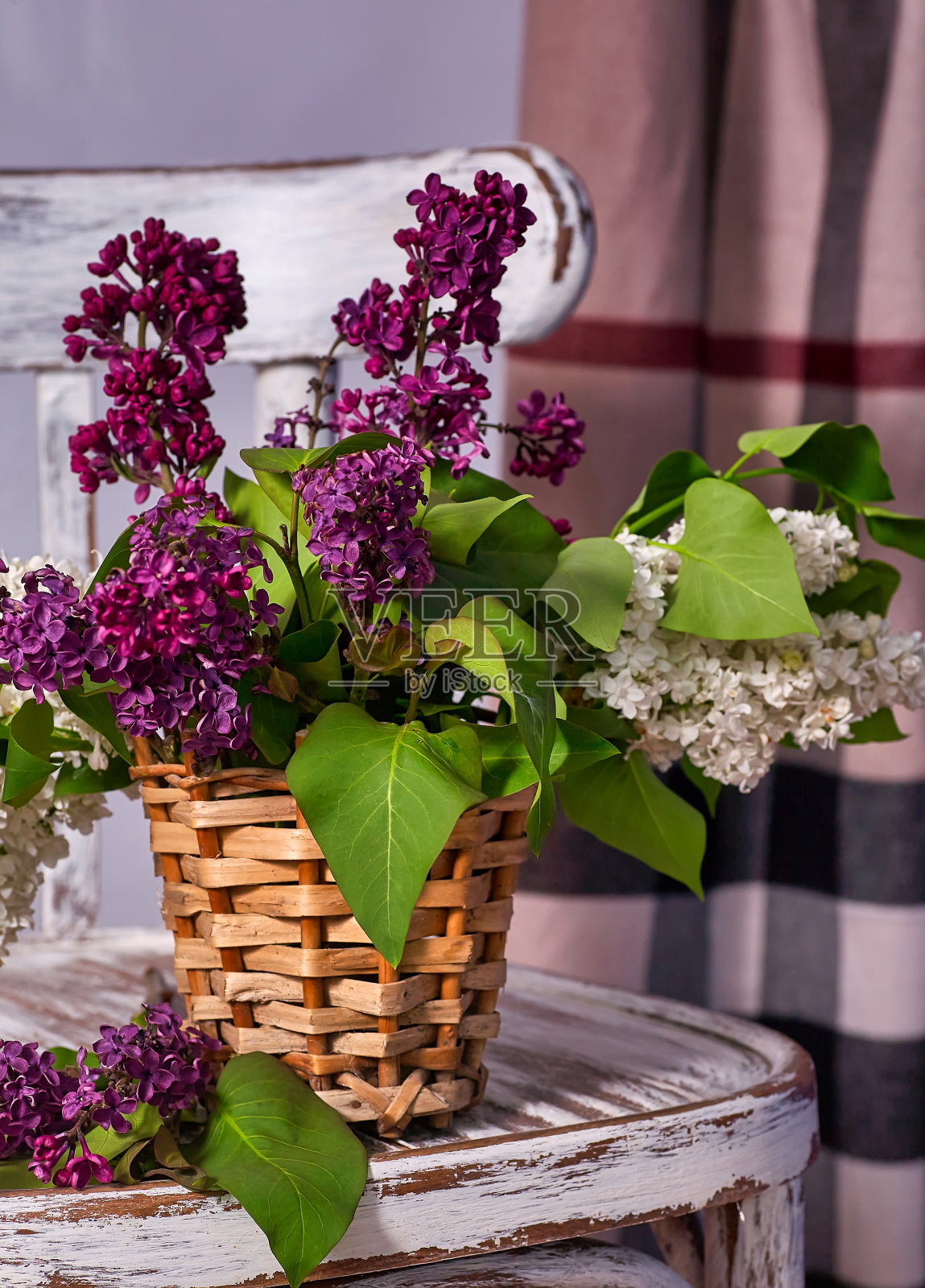 花瓶里的利亚克花束照片摄影图片