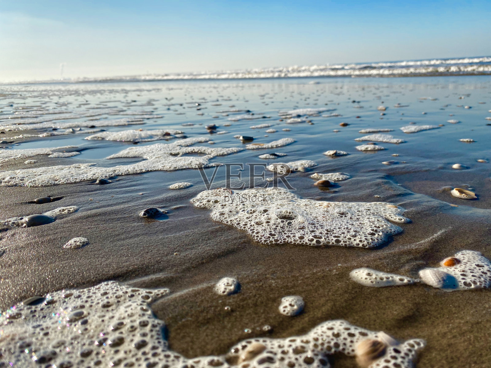 海浪后的泡沫和贝壳照片摄影图片
