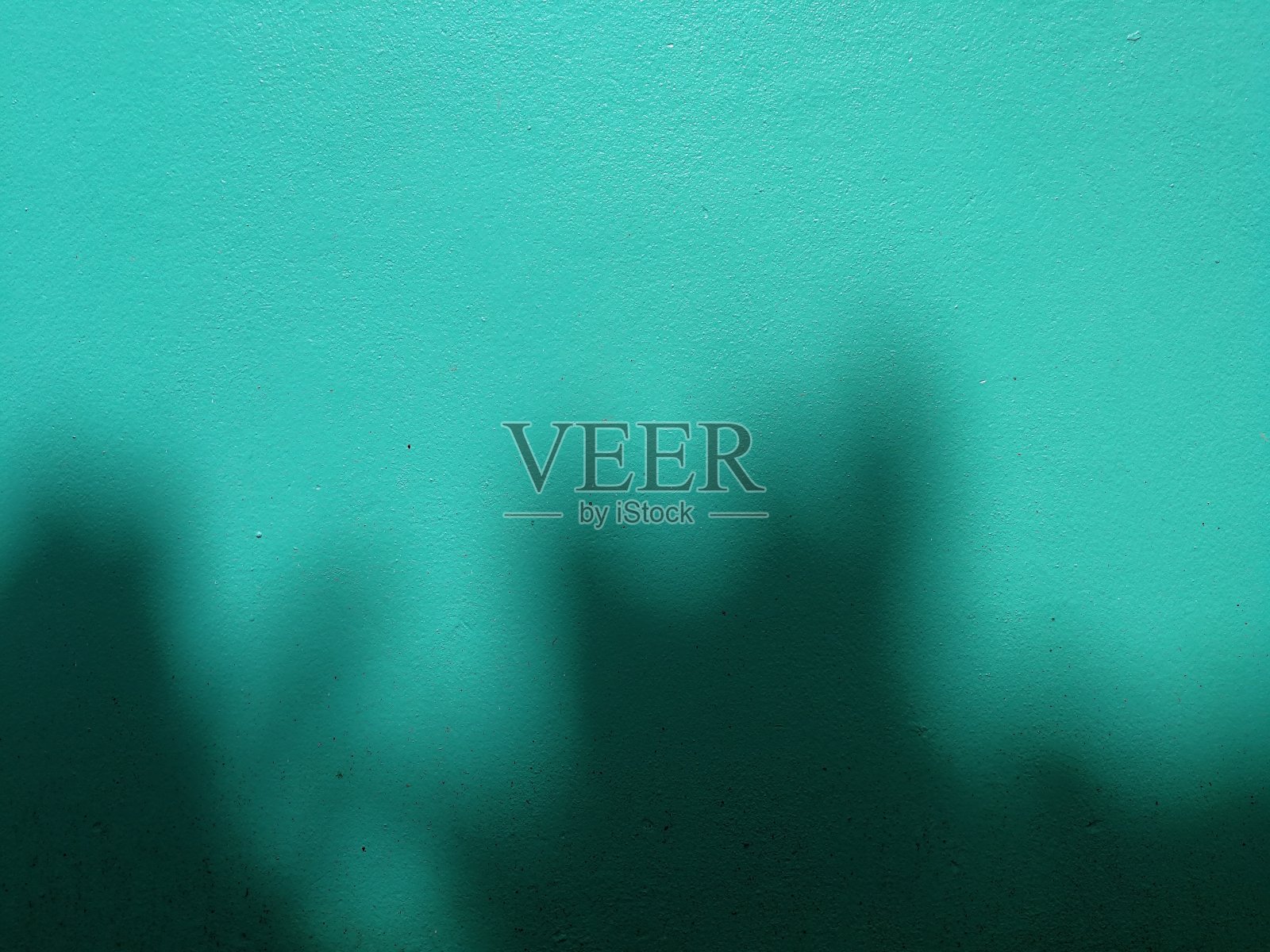 全框拍摄的绿色墙壁背景与树的阴影和空白空间为您的工作。照片摄影图片