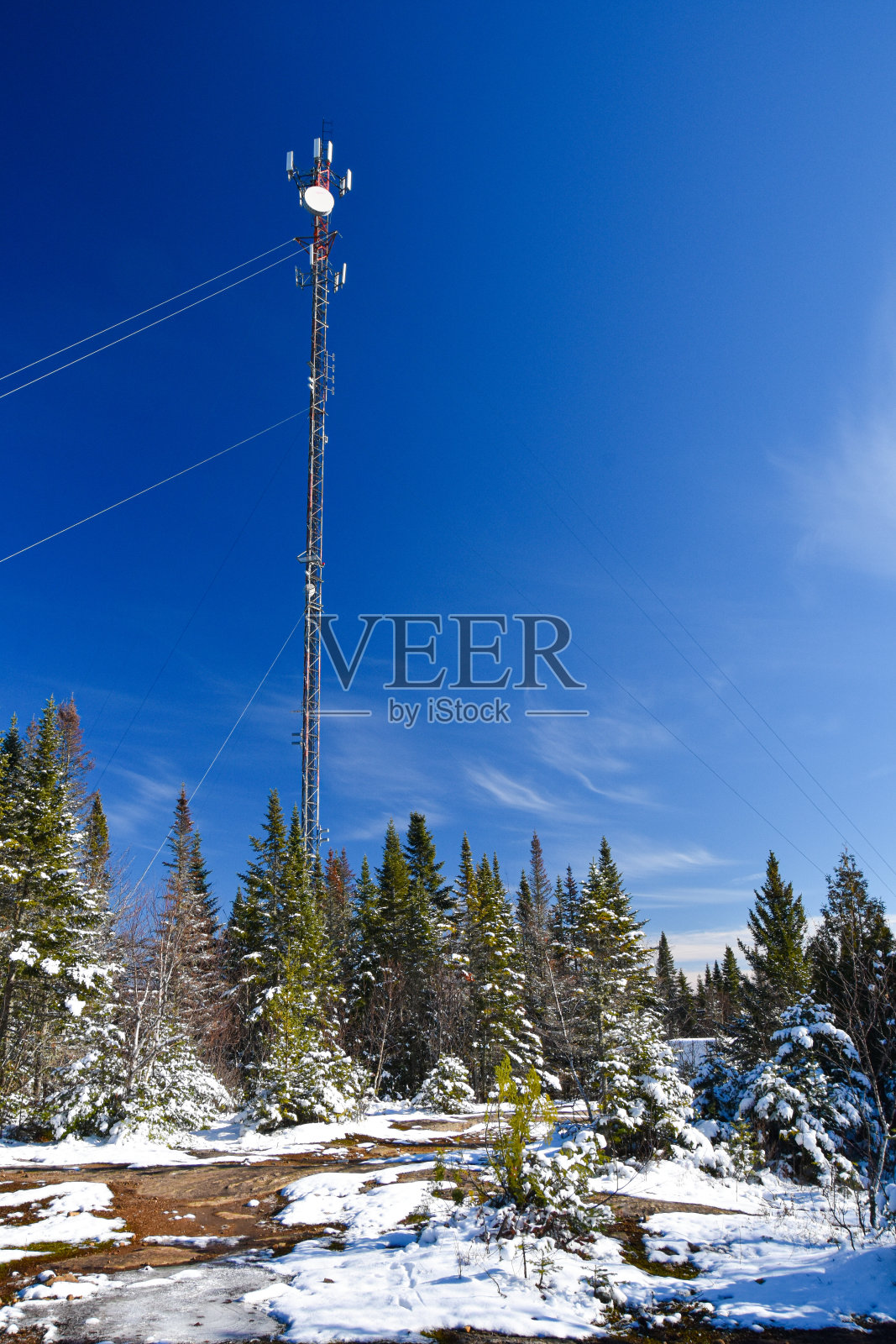 第一次落在加拿大森林的山上照片摄影图片