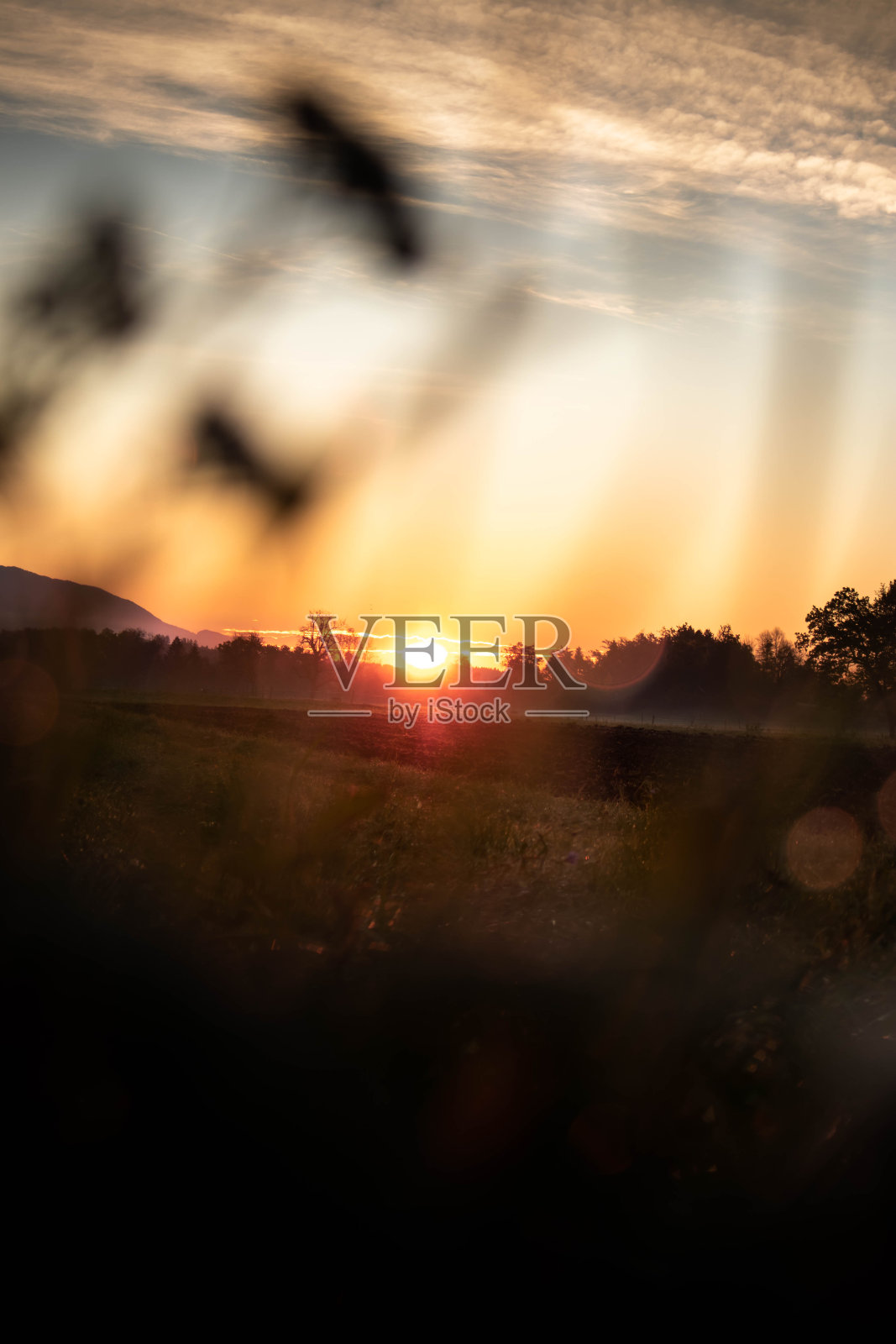 风景的照片照片摄影图片