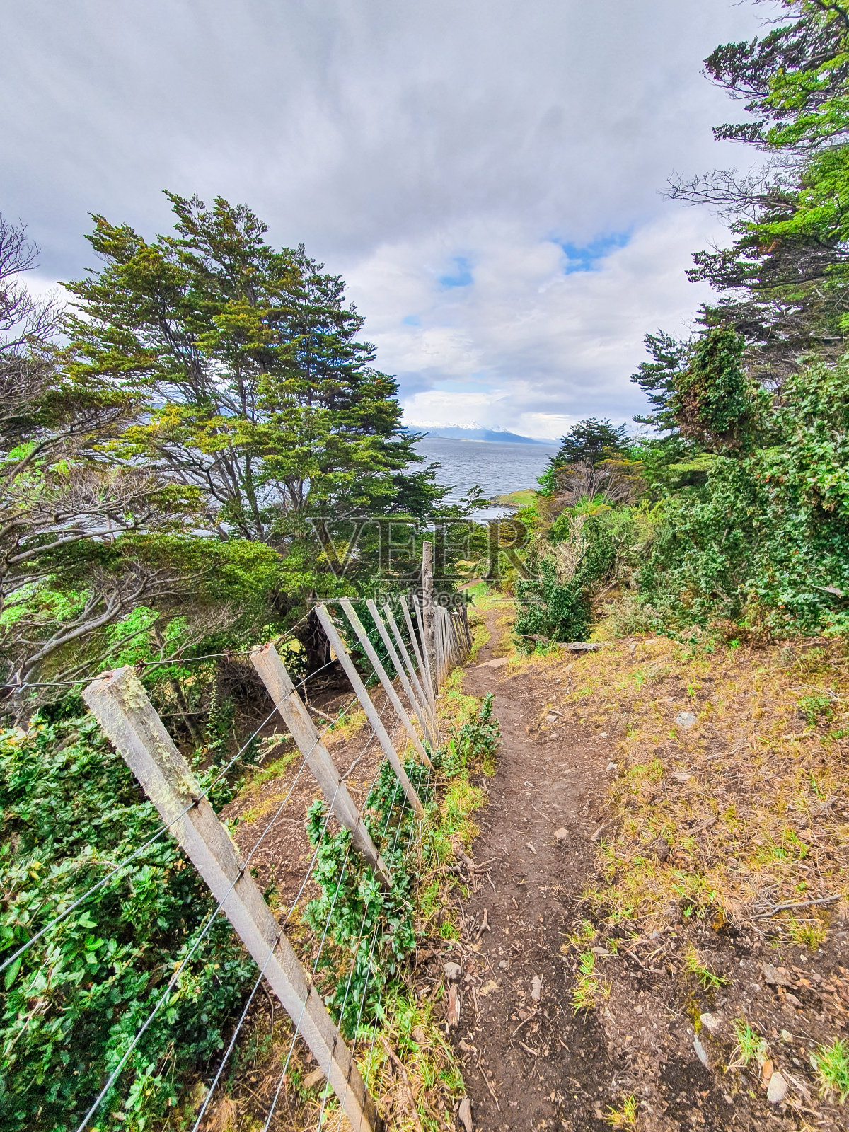 自然景观照片摄影图片