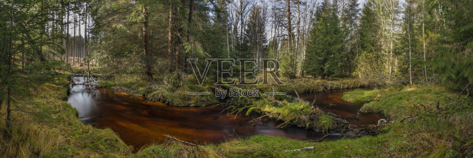 耶泽尼溪在秋色的早晨与红色的水和绿色美丽的森林照片摄影图片