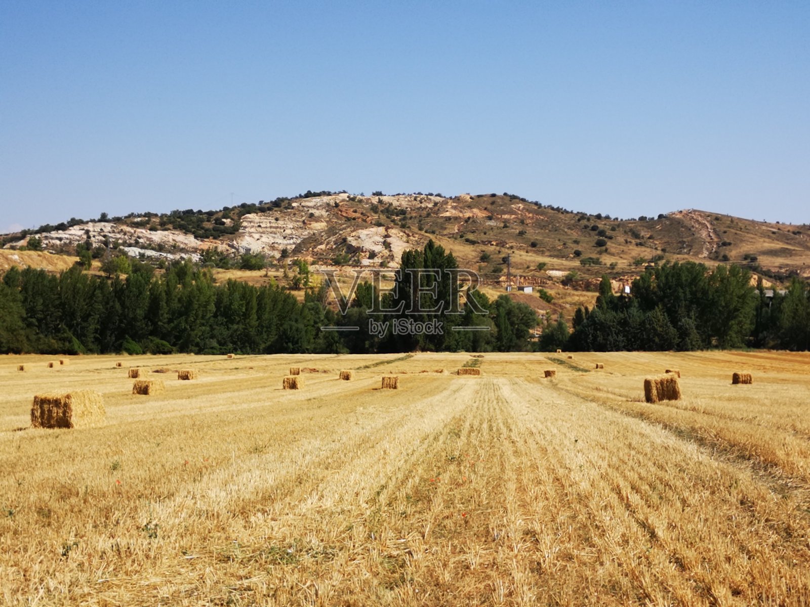 场照片摄影图片