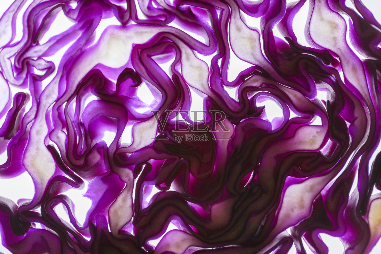 红球甘蓝照片摄影图片