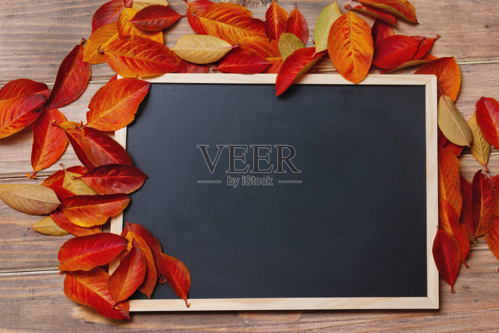石板黑色板在木制的旧背景与红色和黄色的秋天树叶照片摄影图片