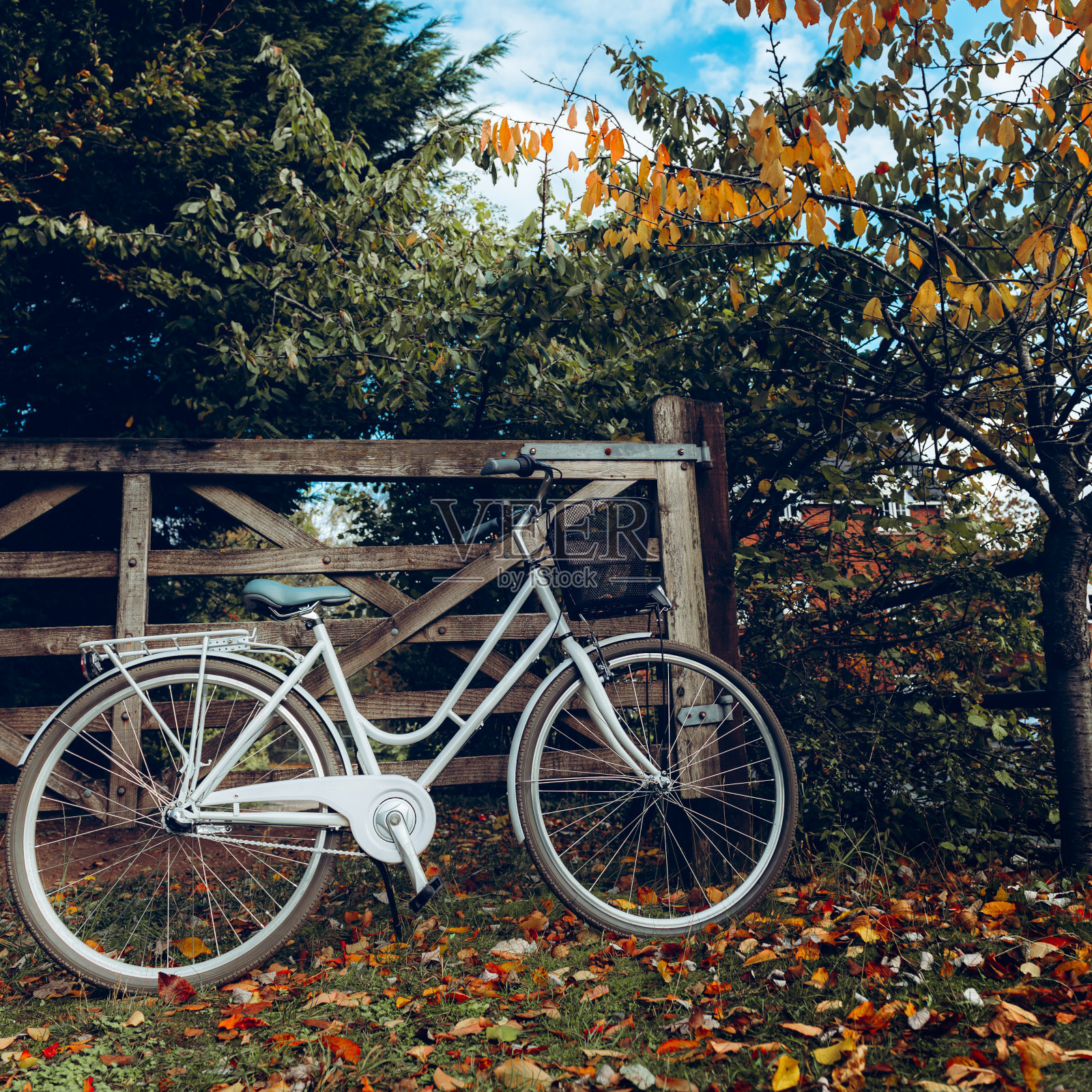 秋天森林里的老式自行车照片摄影图片
