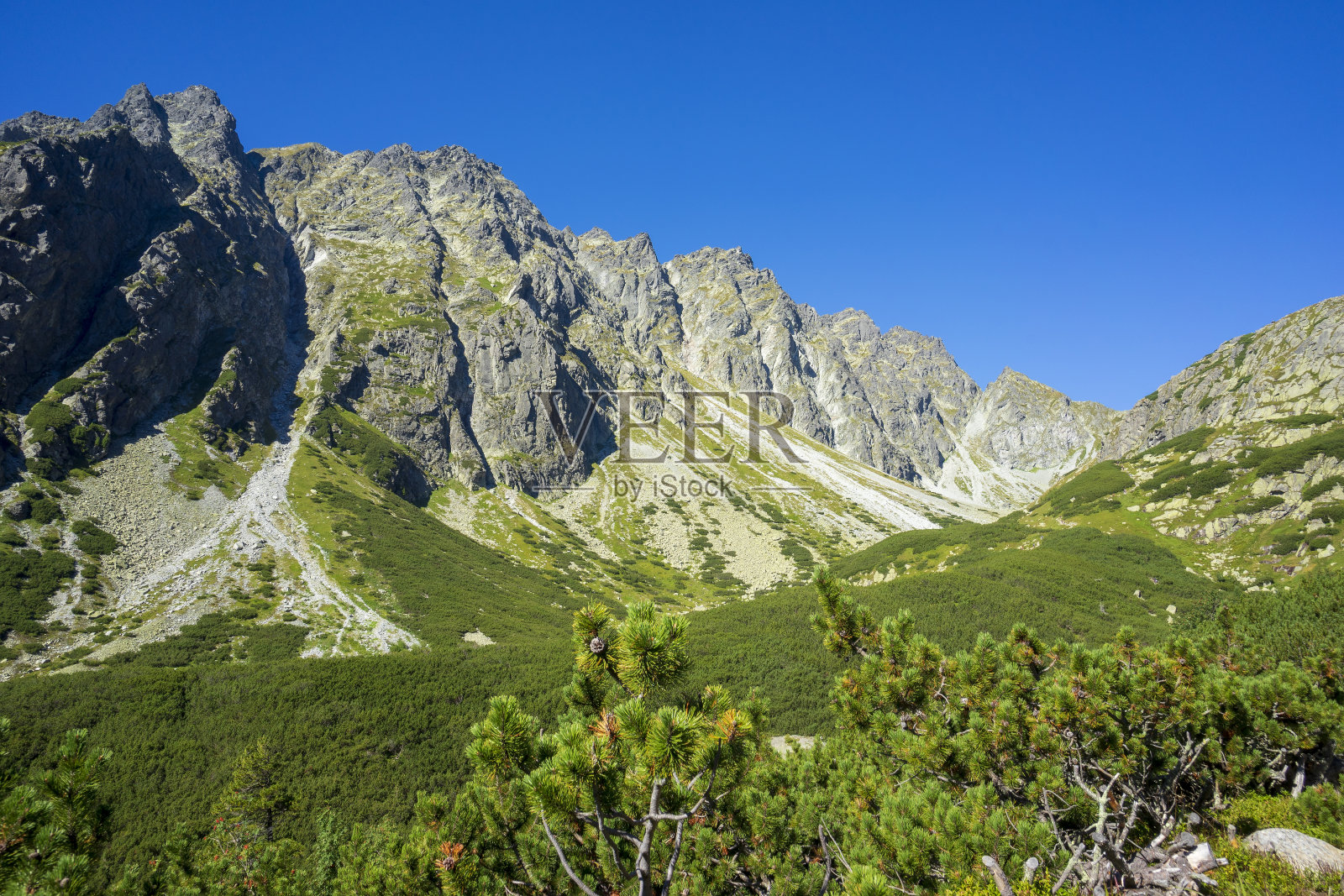 Mengusovska山谷。高Tatra山上。斯洛伐克。照片摄影图片