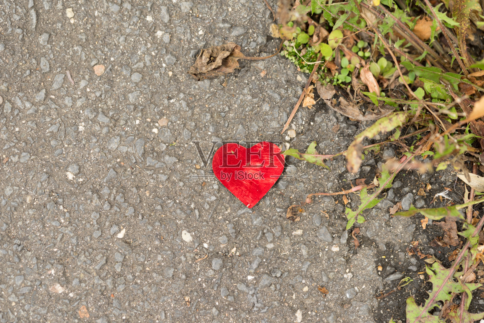 红色的心与植物和柏油路面躺在地上-概念失去的爱和受损的心照片摄影图片
